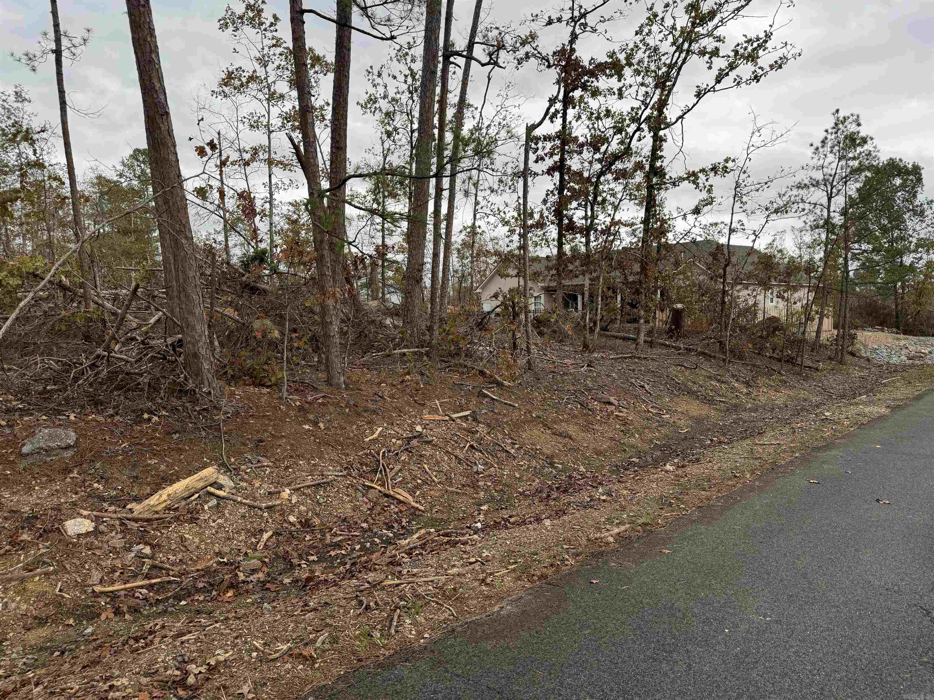 54  PALMA LANE  Hot Springs Village, AR