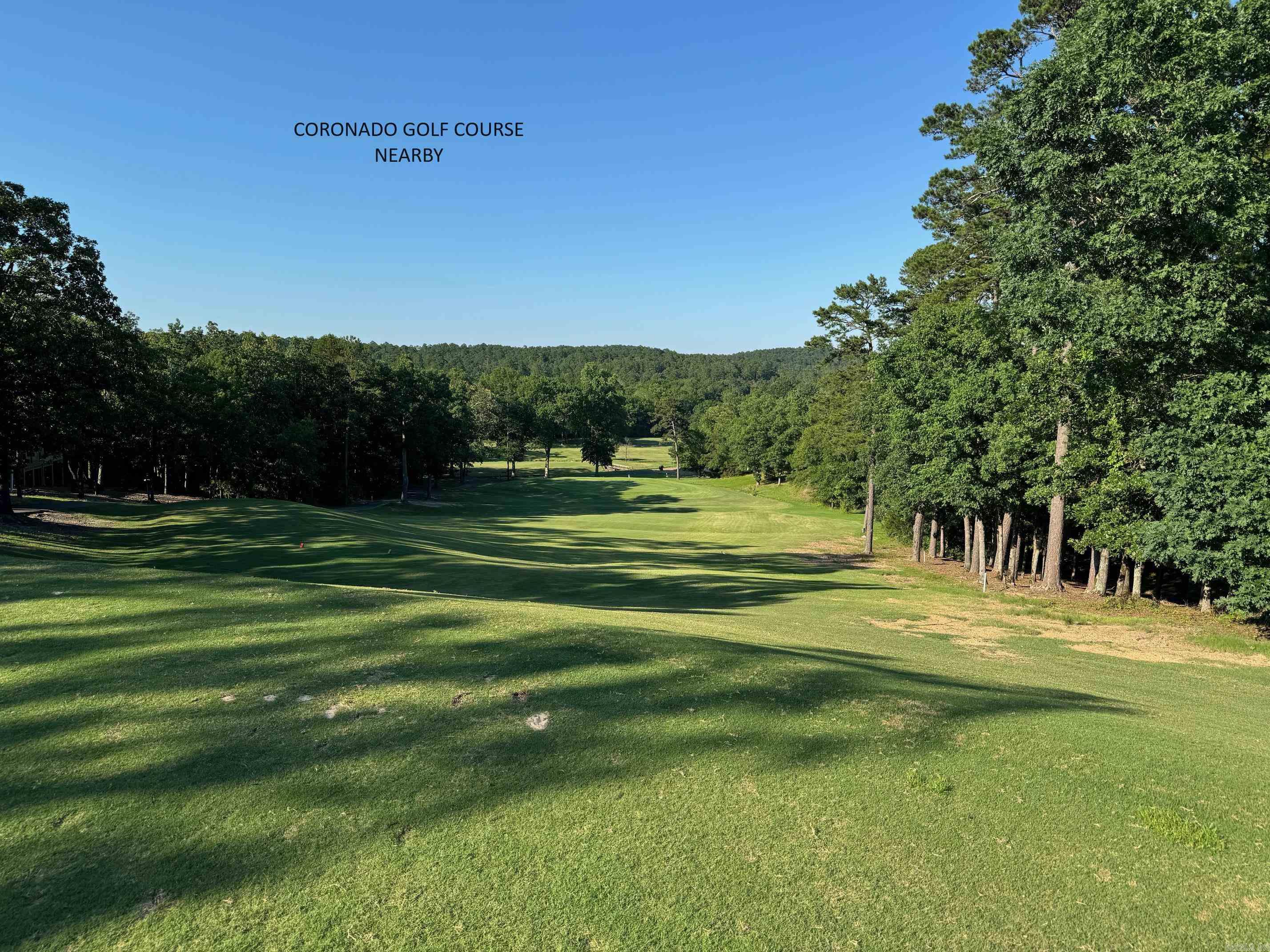 54  PALMA LANE  Hot Springs Village, AR