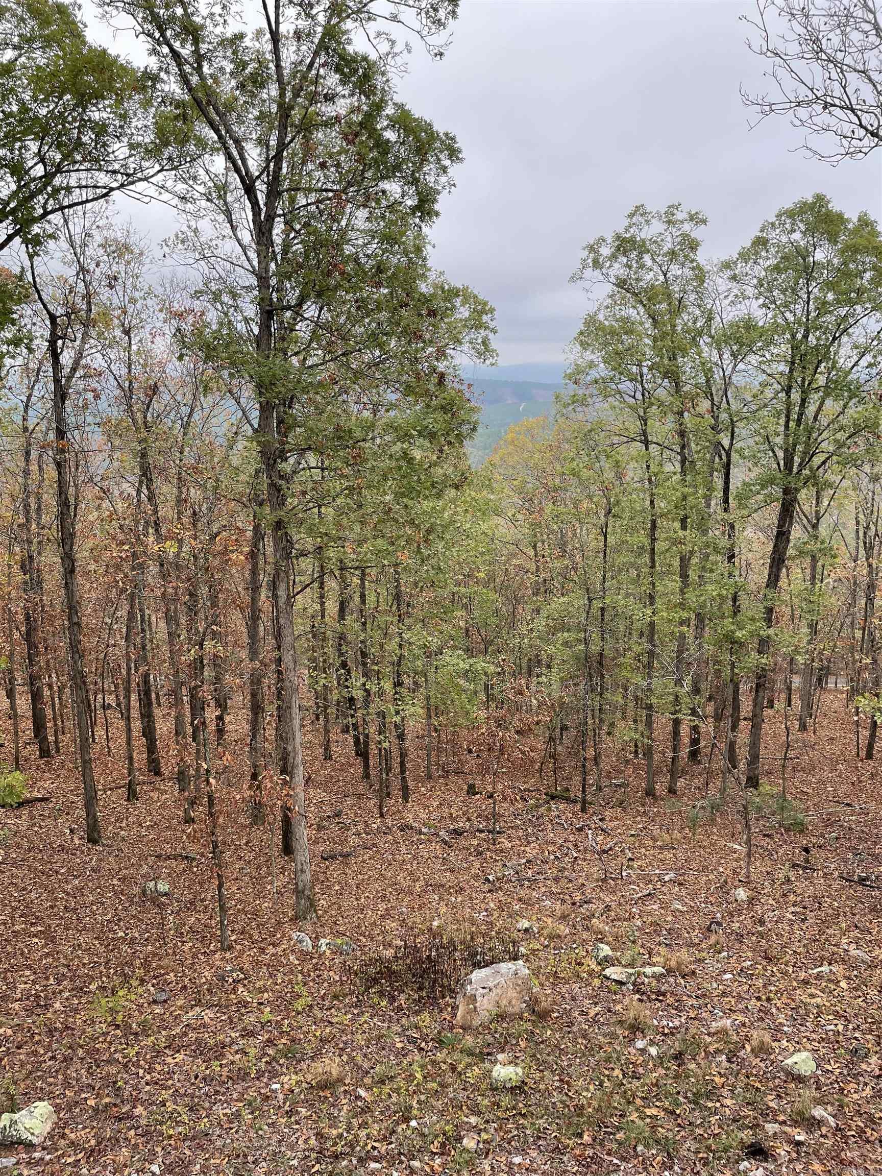 46  Mesero Way  Hot Springs Village, AR