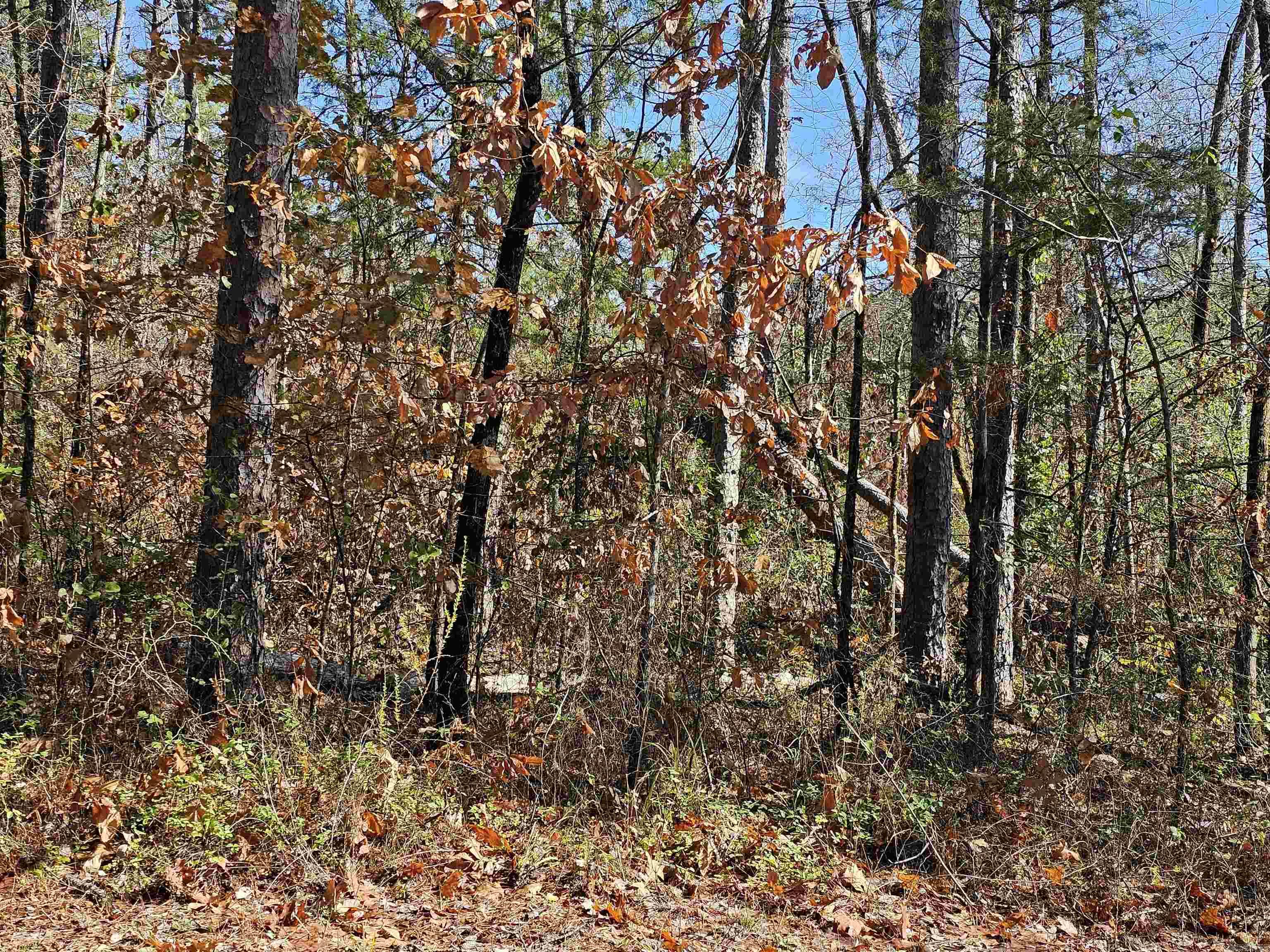 51  Leno  Hot Springs Village, AR