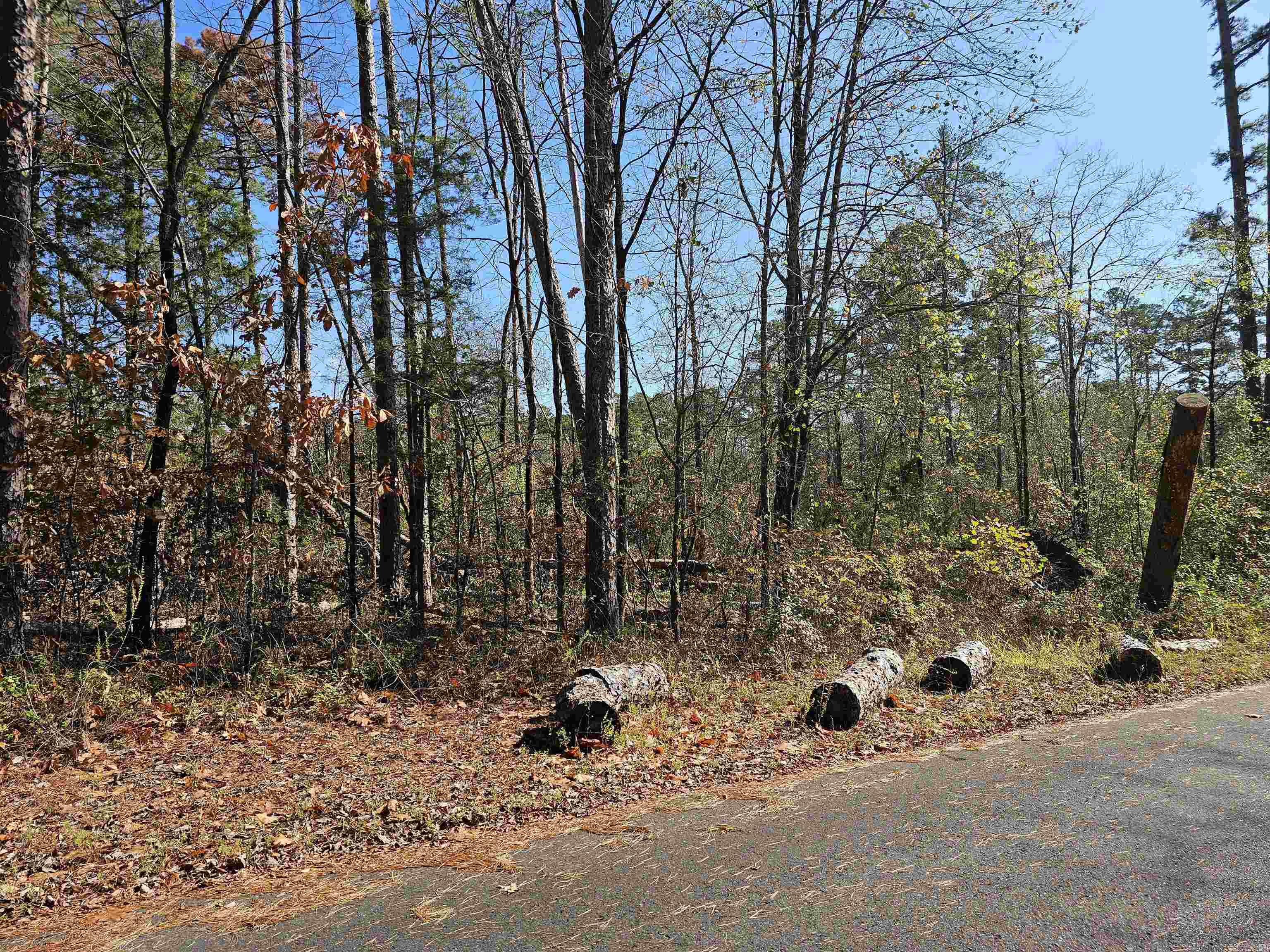 51  Leno  Hot Springs Village, AR