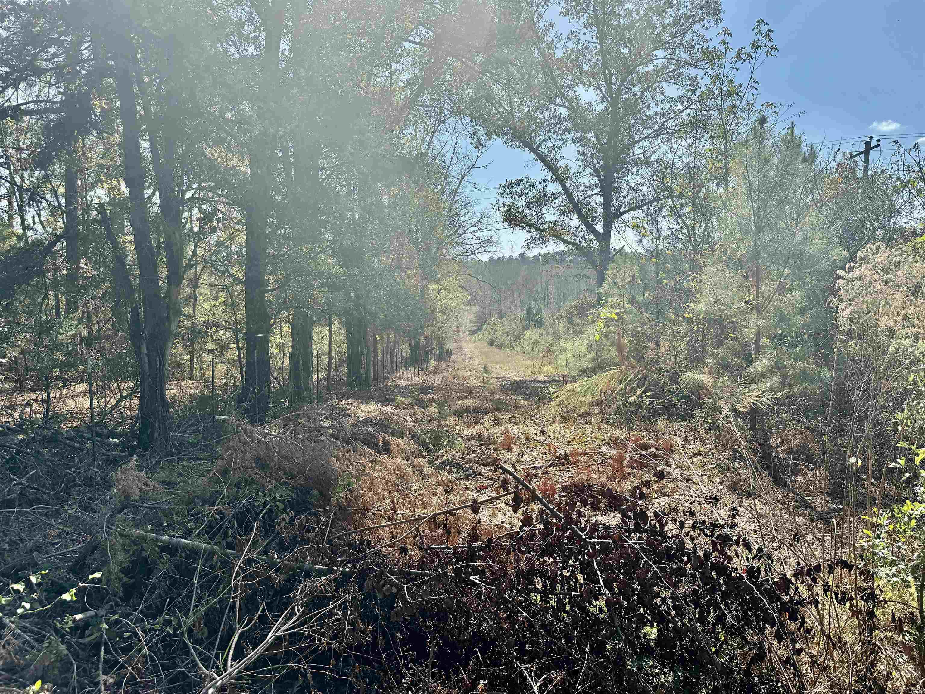 987  Walker  Amity, AR