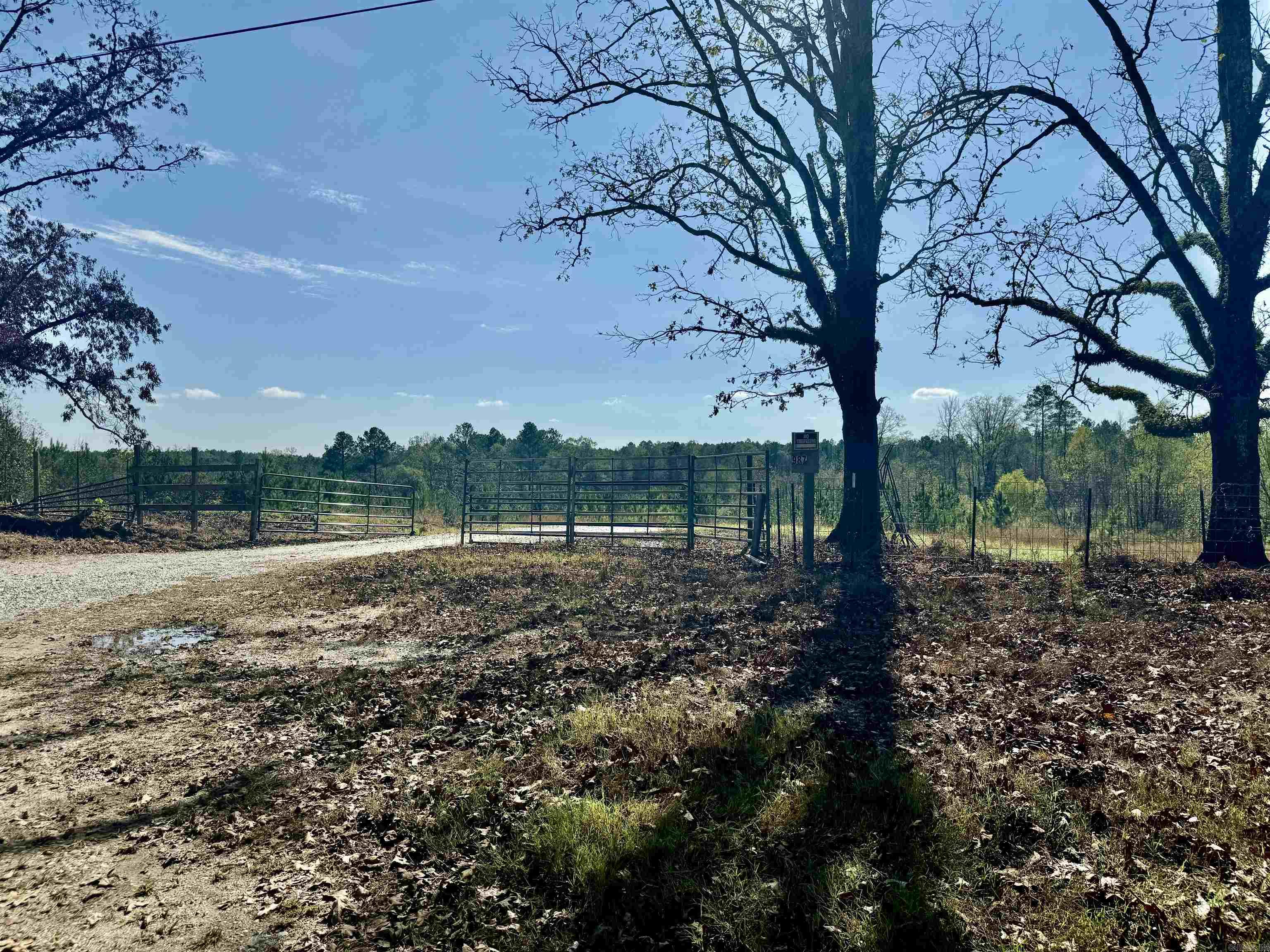 987  Walker  Amity, AR
