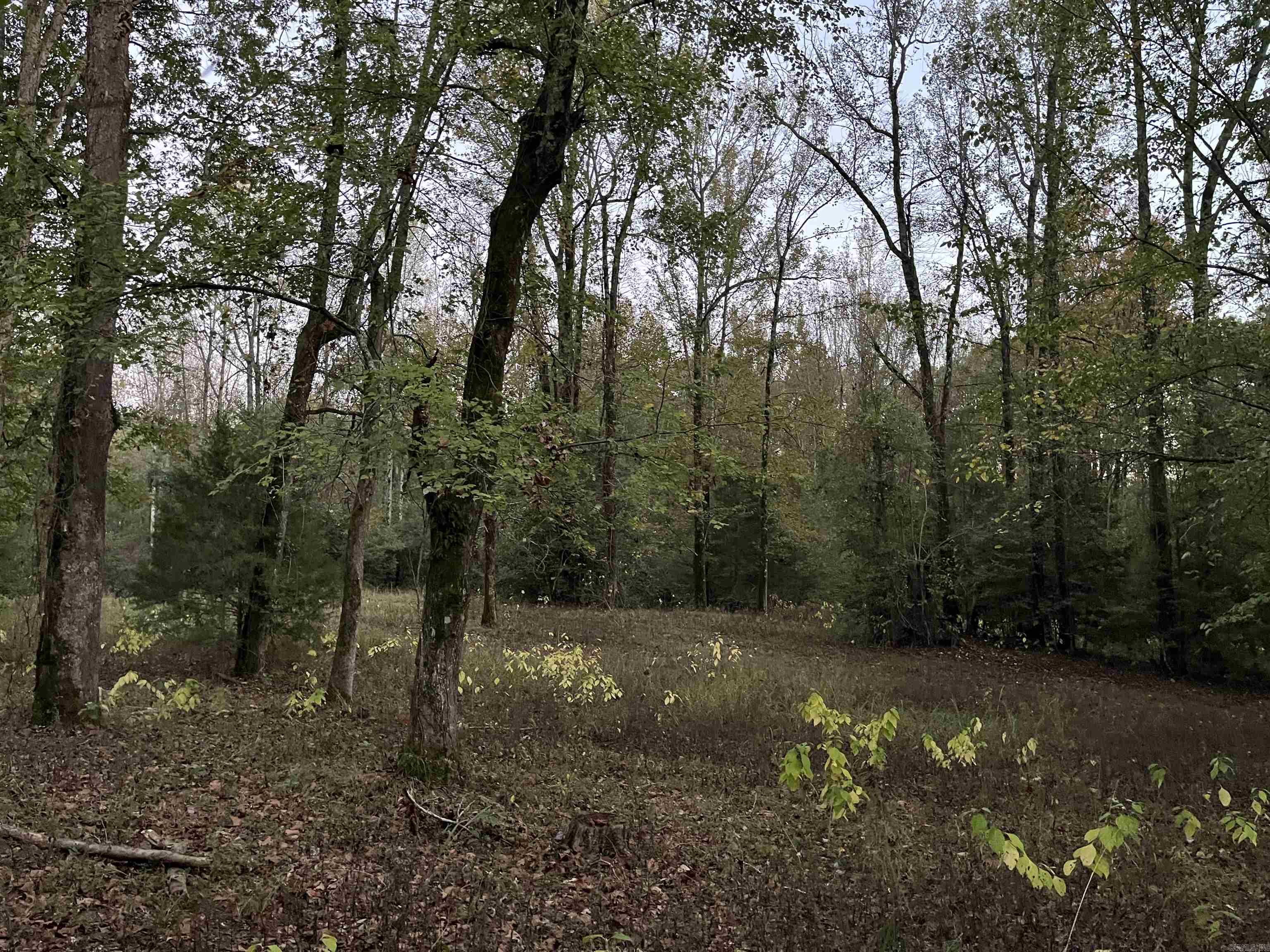 TBD  Hwy 329  De Queen, AR