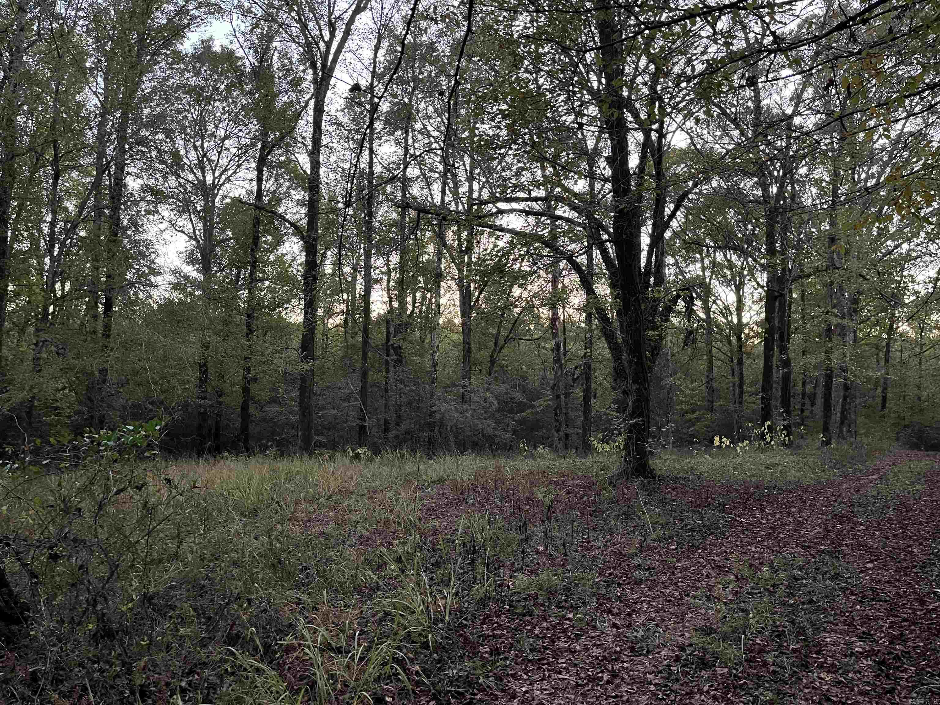TBD  Hwy 329  De Queen, AR