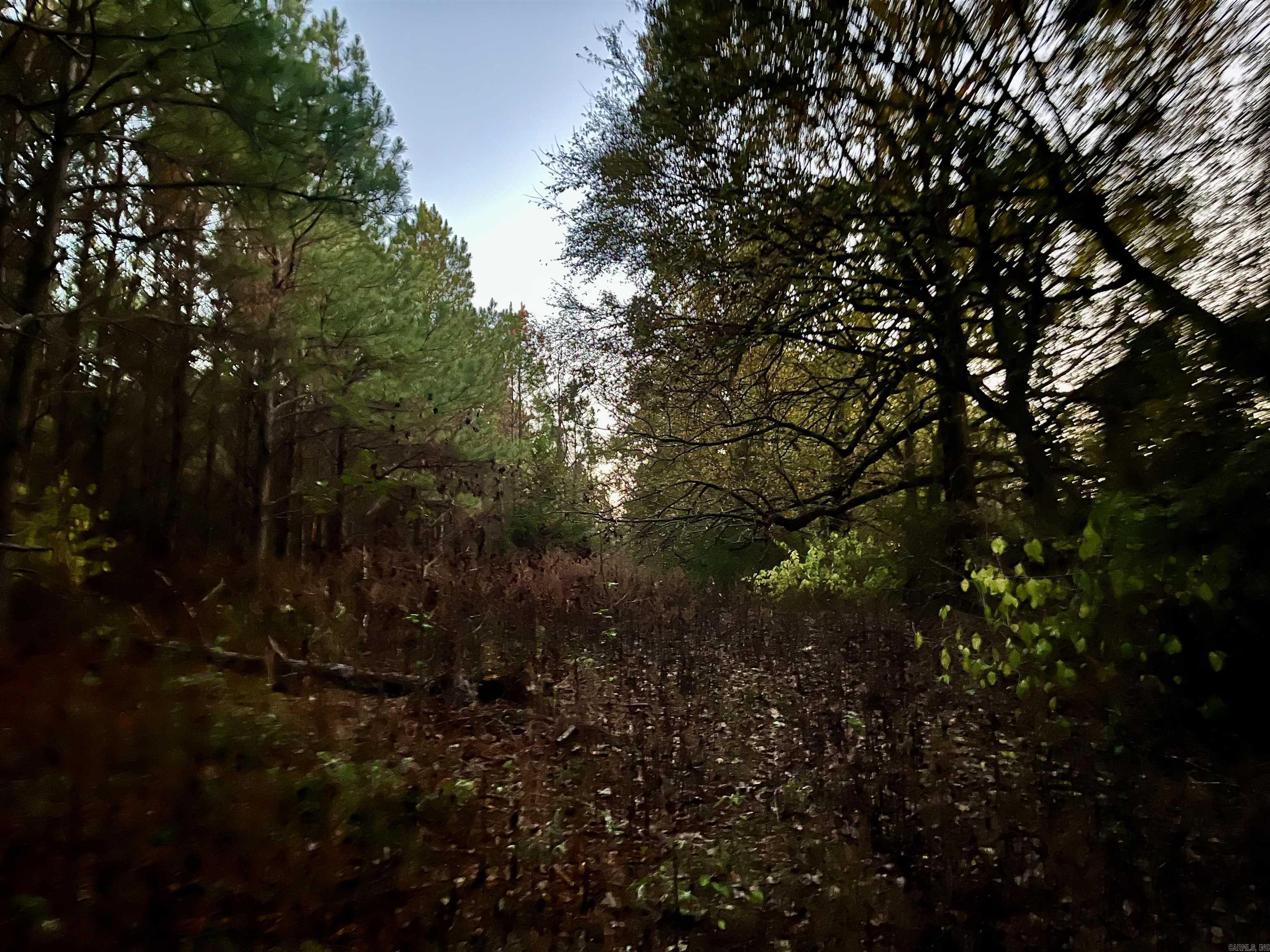 TBD  Hwy 329  De Queen, AR