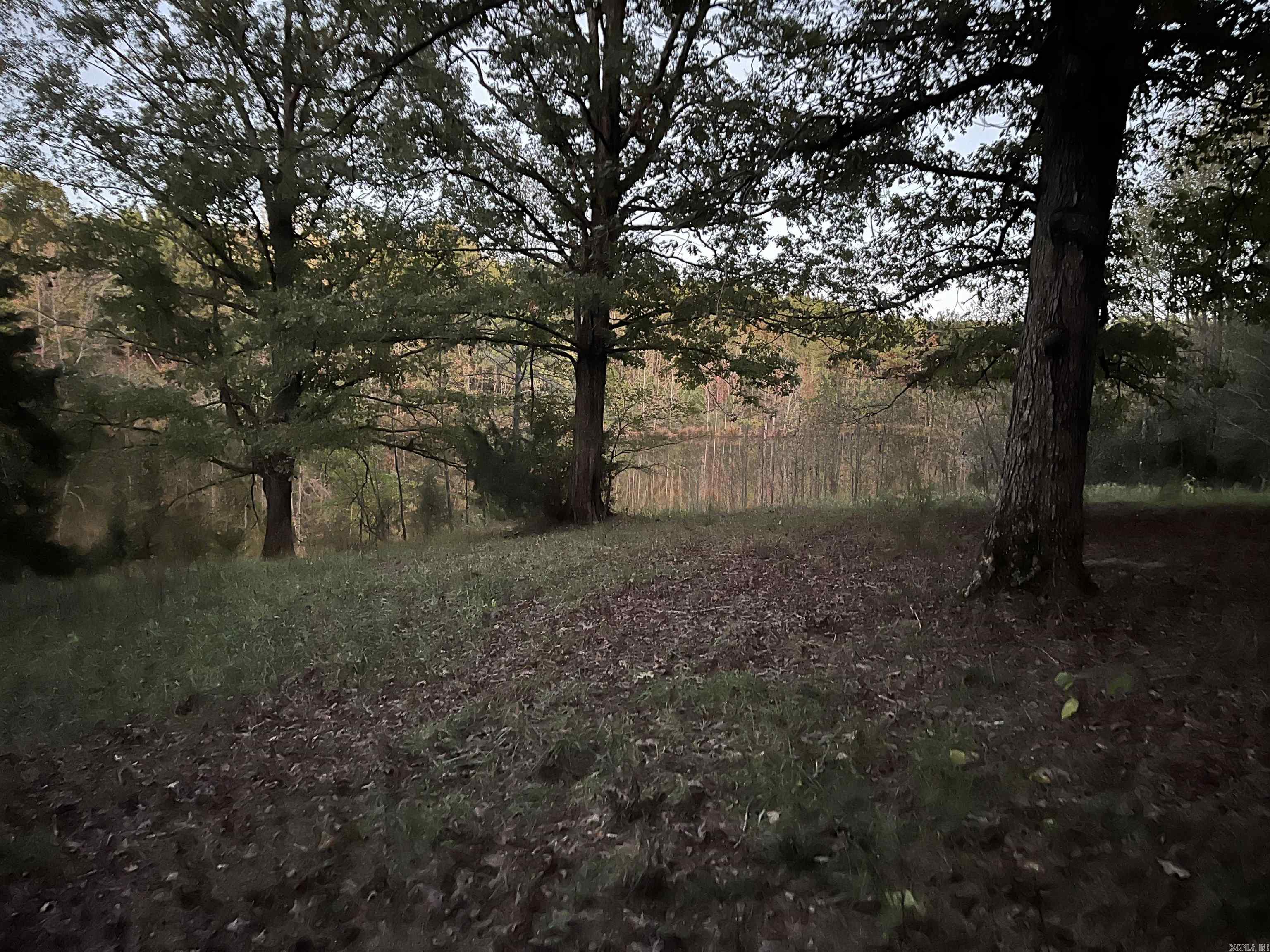 TBD  Hwy 329  De Queen, AR