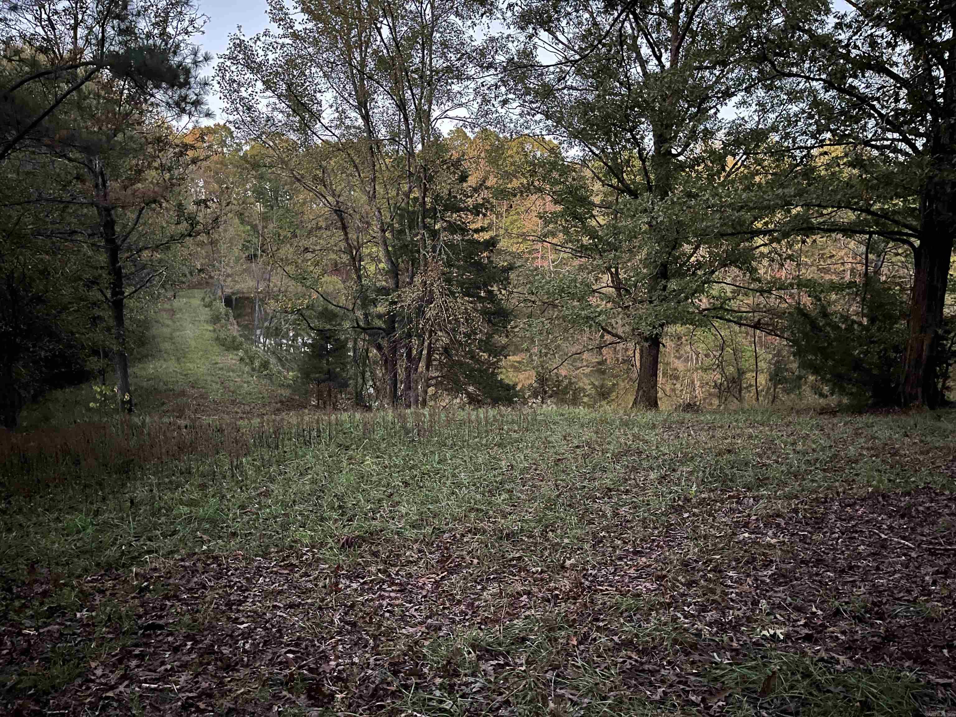 TBD  Hwy 329  De Queen, AR