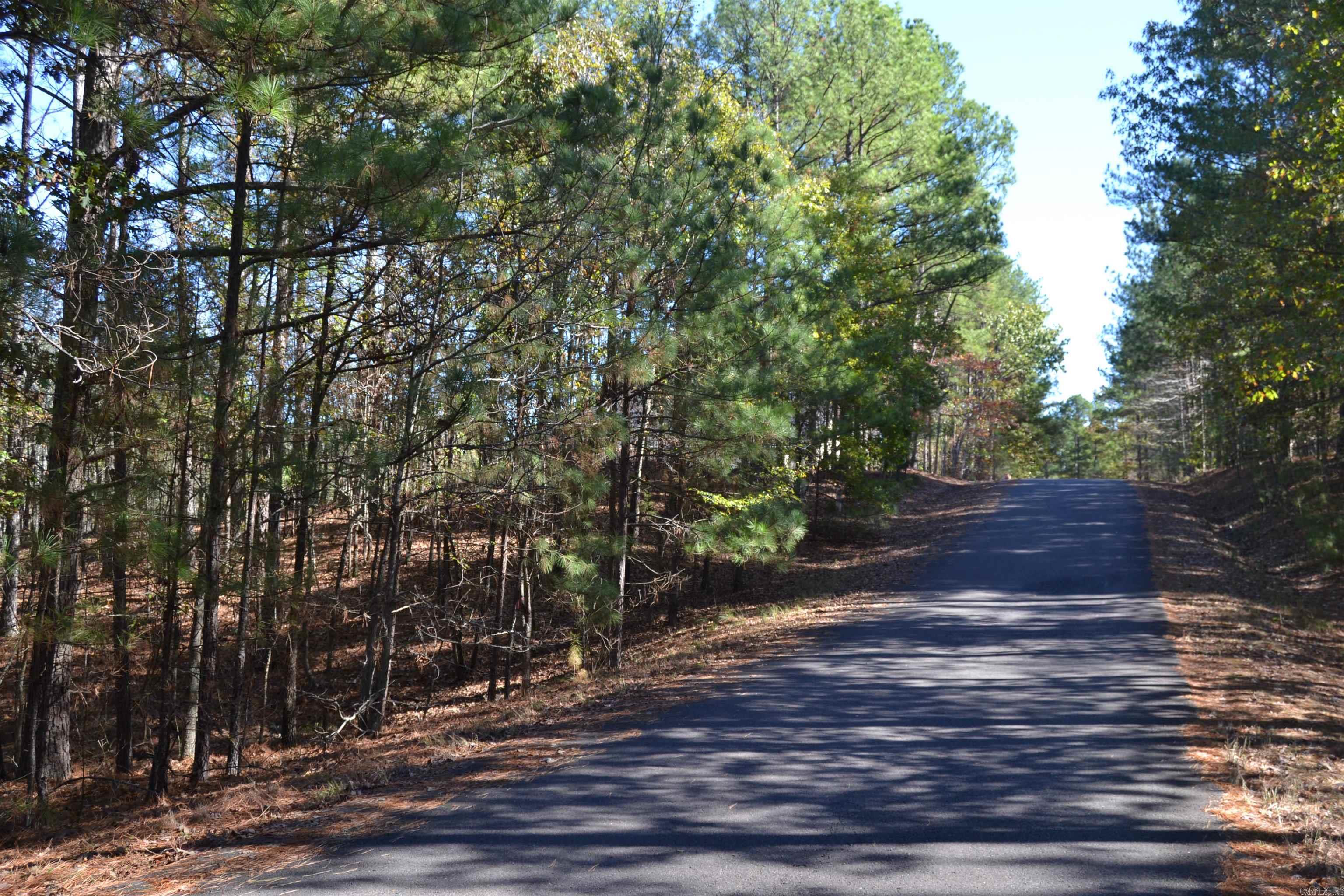 14  Piocha  Hot Springs Village, AR