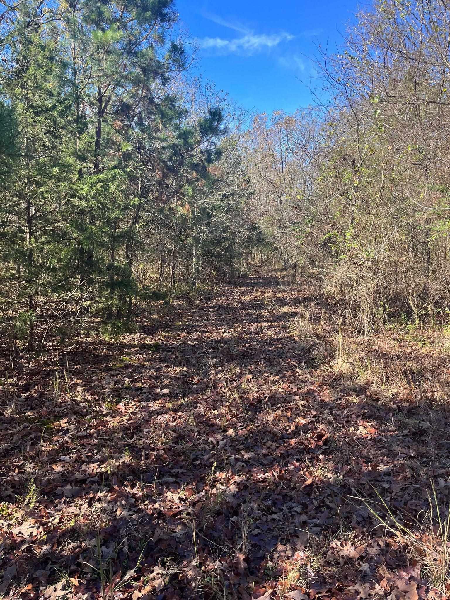 TBD  Geyer Dr  Mena, AR