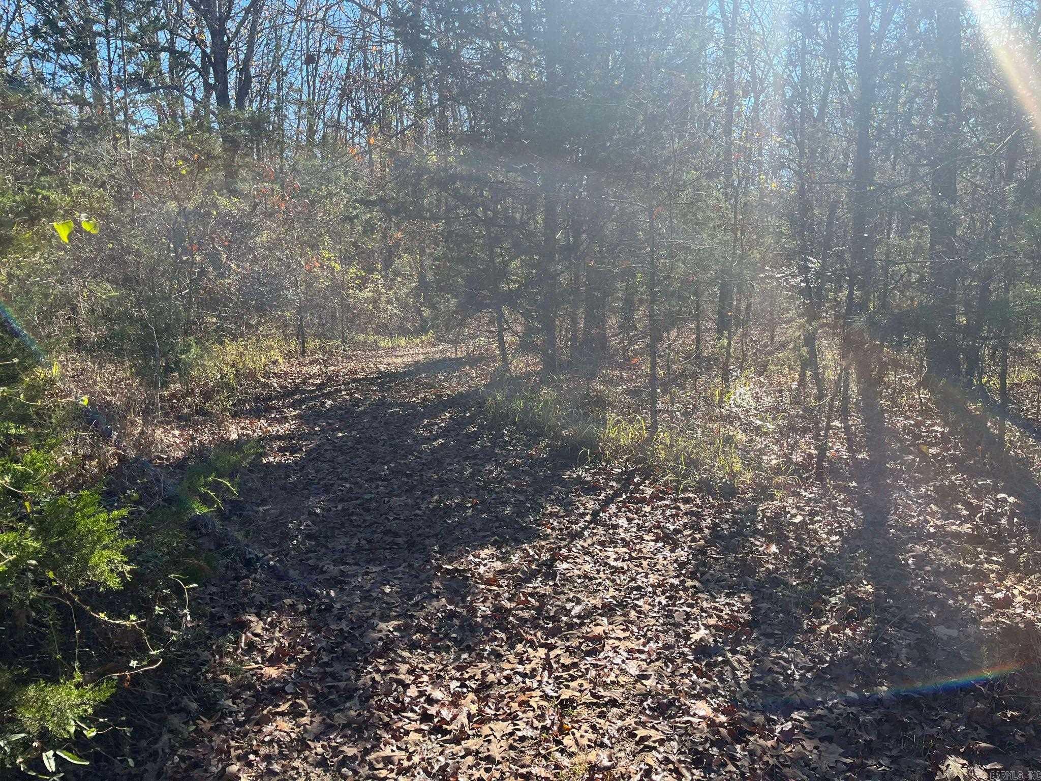 TBD  Geyer Dr  Mena, AR