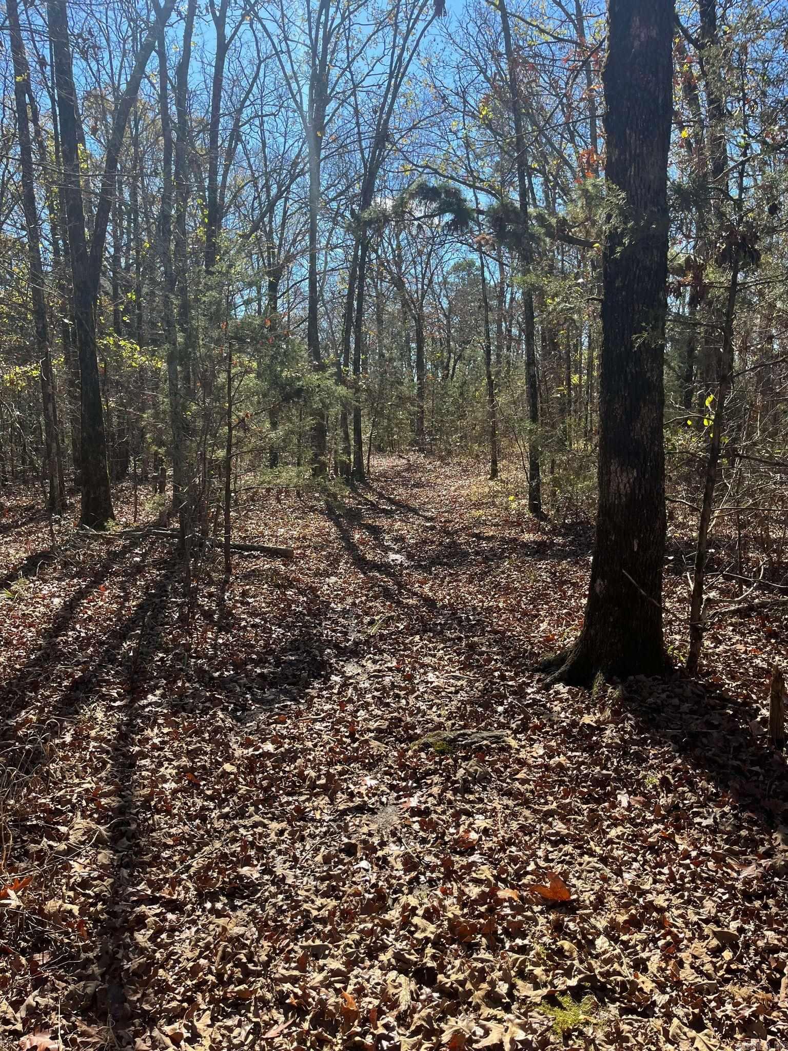 TBD  Geyer Dr  Mena, AR