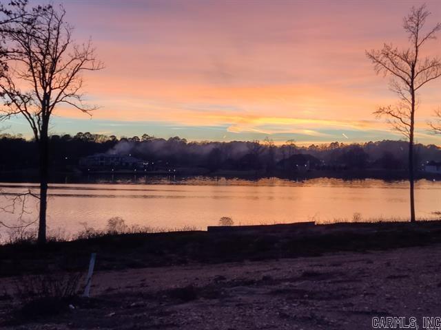 6073  Majestic Waters  Benton, AR