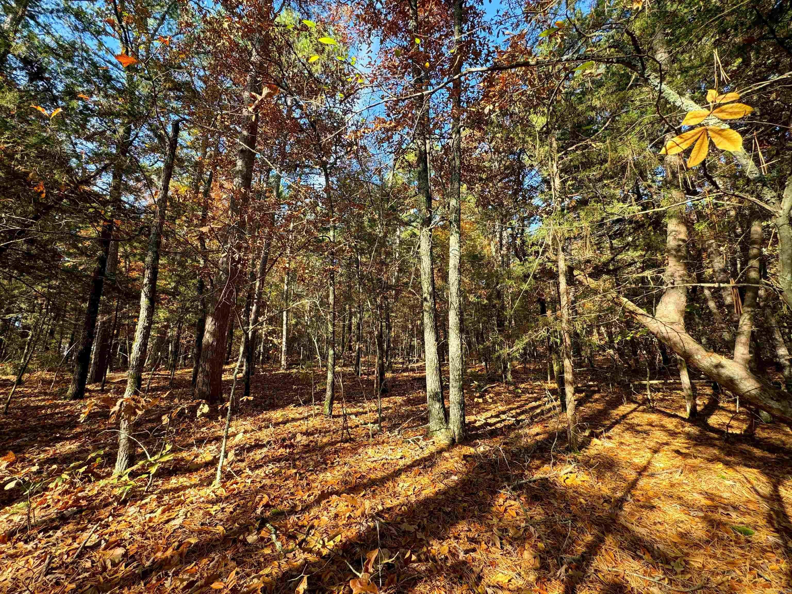 80  Gilbert  Fairfield Bay, AR