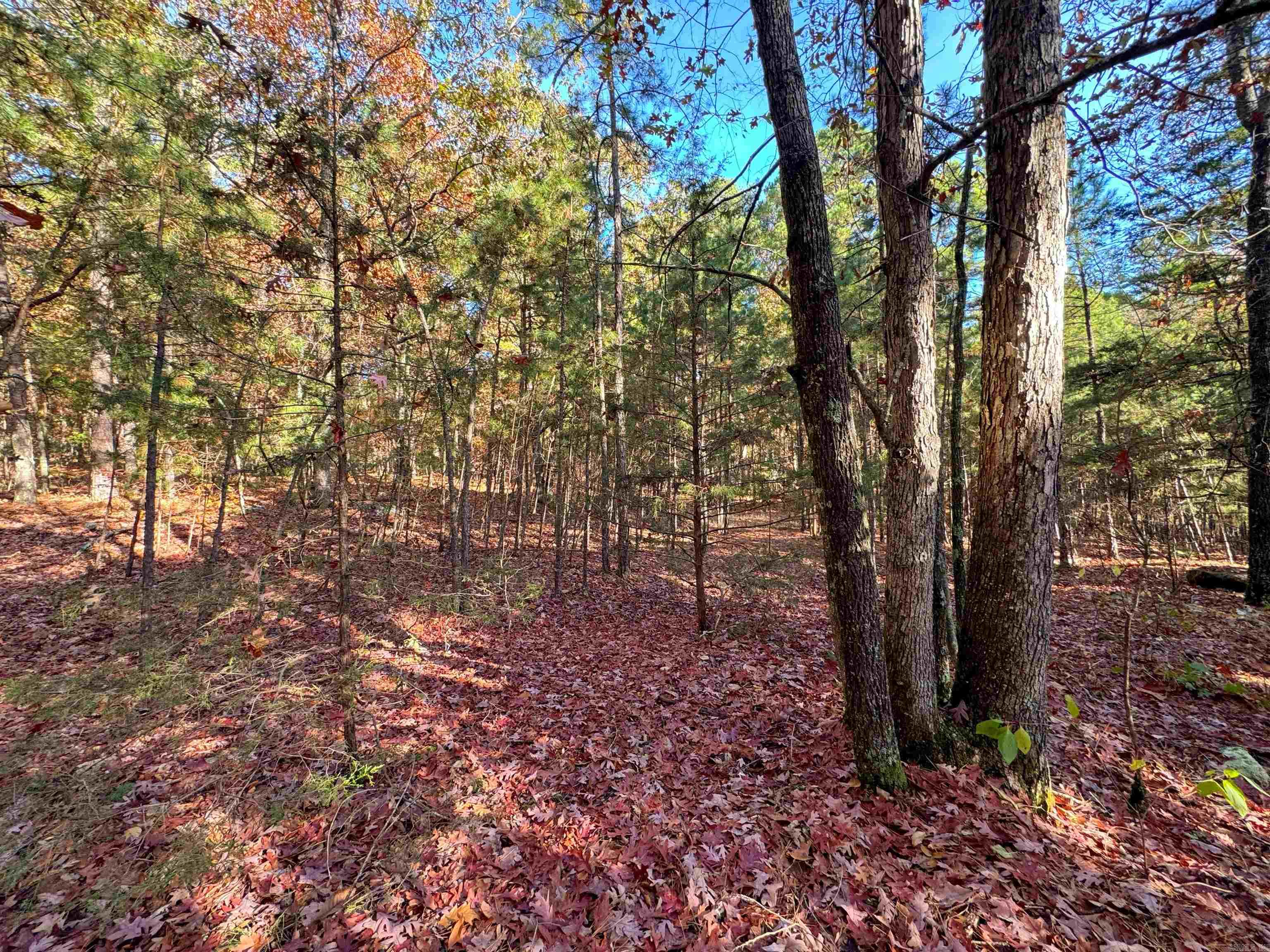 80  Gilbert  Fairfield Bay, AR