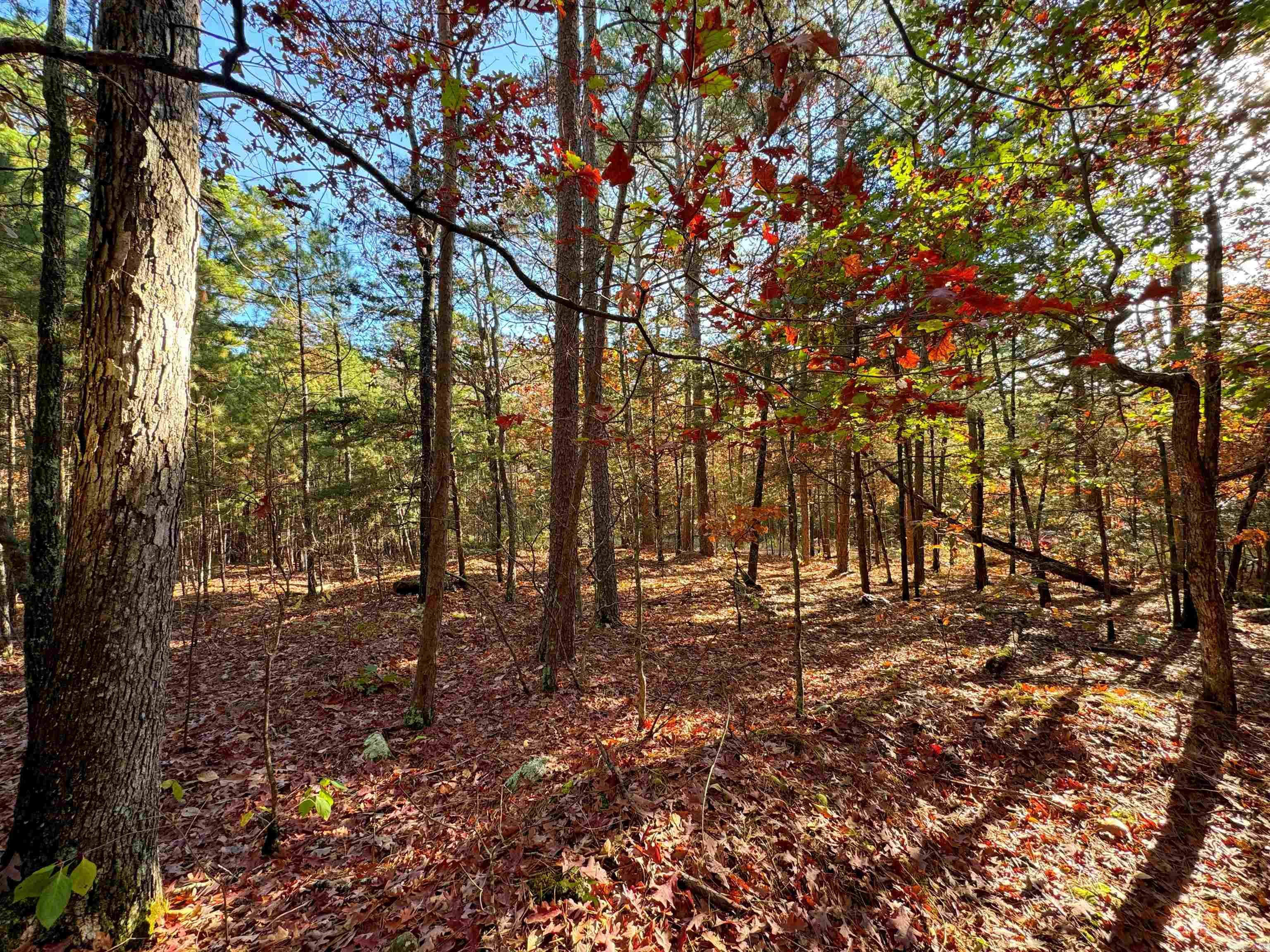 80  Gilbert  Fairfield Bay, AR