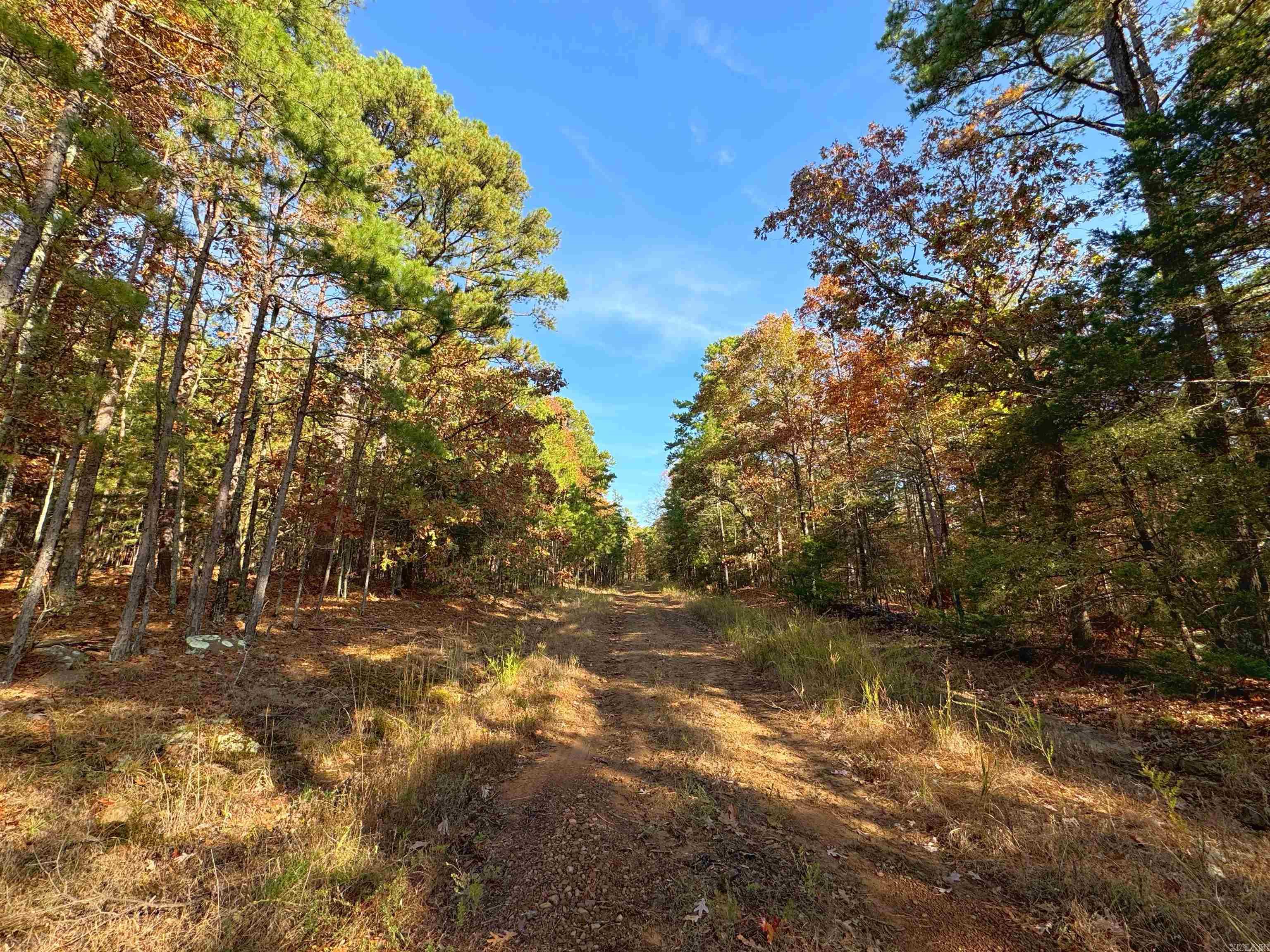 80  Gilbert  Fairfield Bay, AR