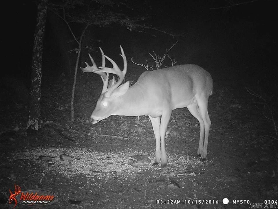 000  Lewisburg  Austin, AR