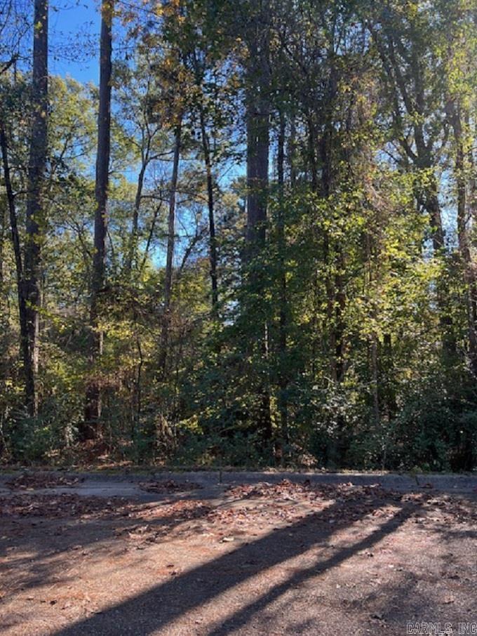 Lot 15  Mockingbird  Camden, AR