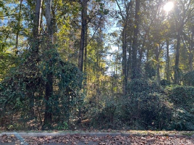 Lot 14  Mockingbird  Camden, AR