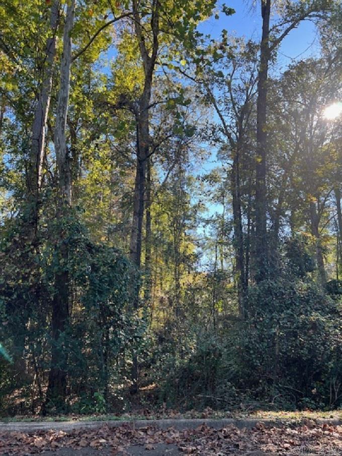 Lot 14  Mockingbird  Camden, AR