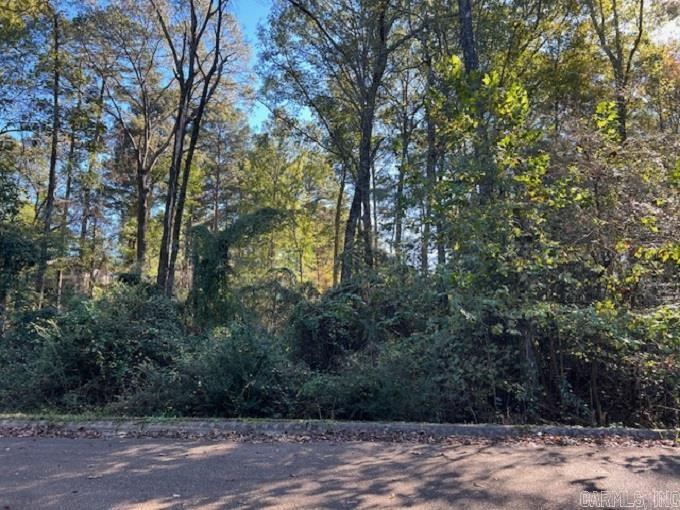 Lot 13  Mockingbird  Camden, AR