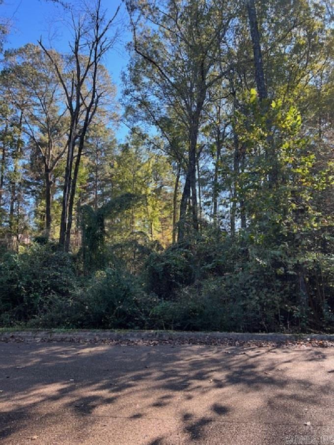 Lot 13  Mockingbird  Camden, AR