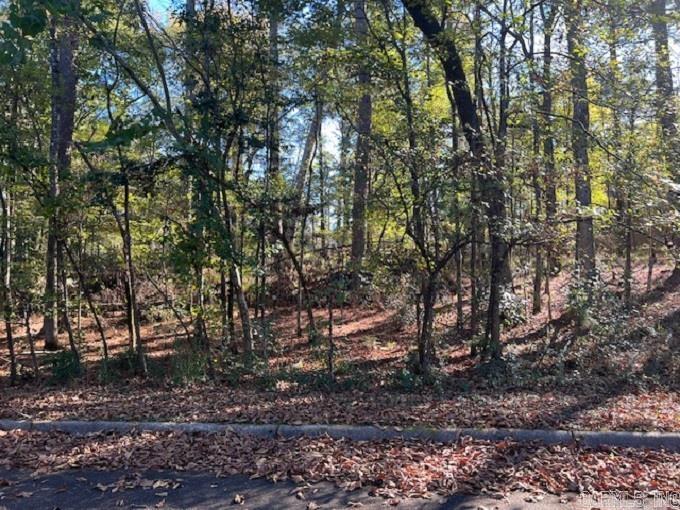 Lot 12  Mockingbird  Camden, AR