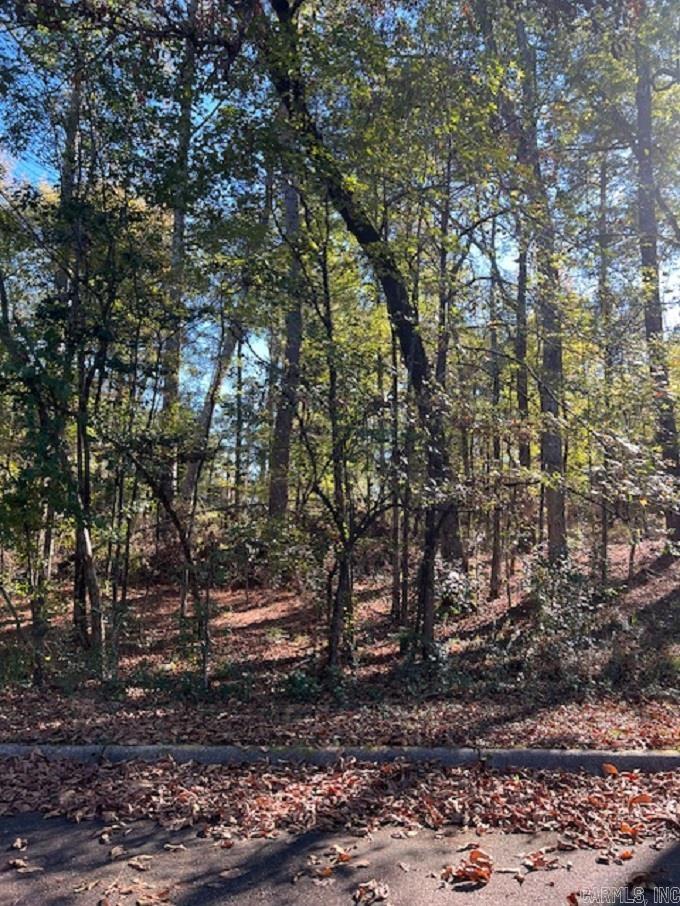 Lot 12  Mockingbird  Camden, AR