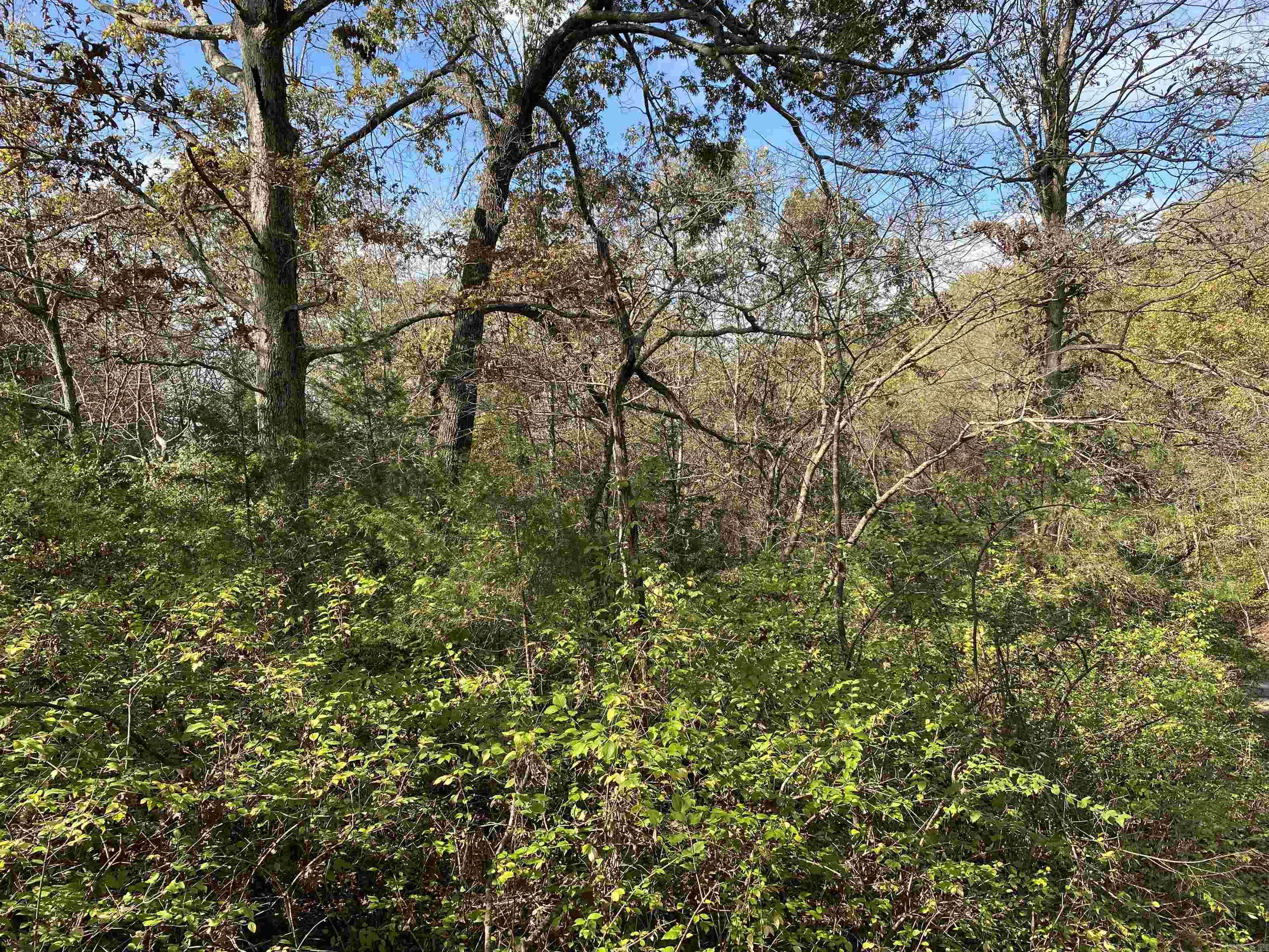 760-19585-000  Sandot  Bull Shoals, AR