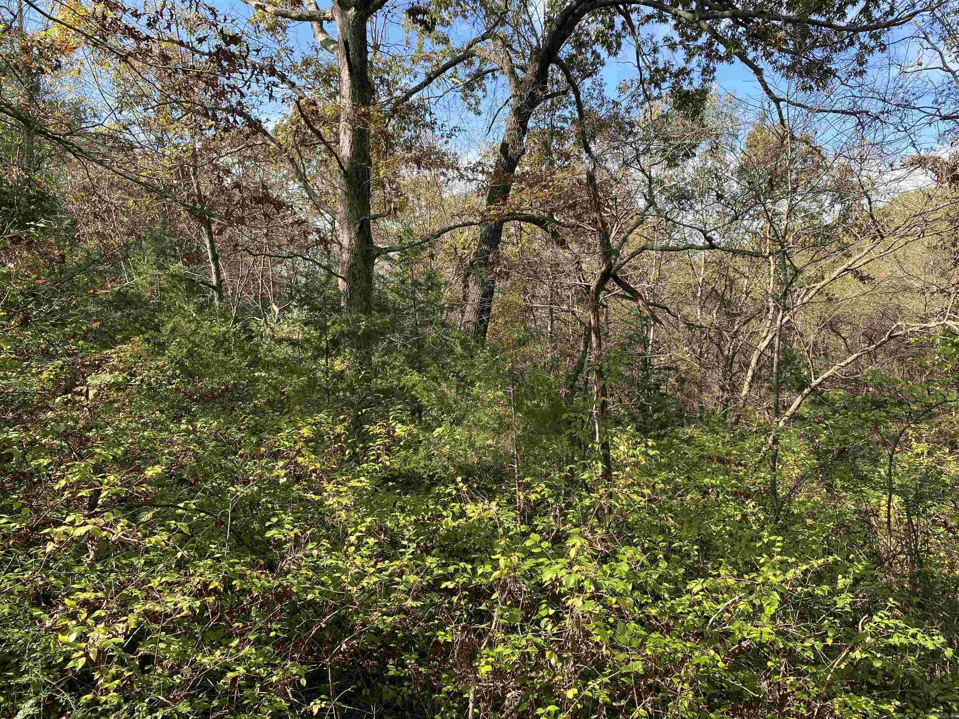 760-19585-000  Sandot  Bull Shoals, AR