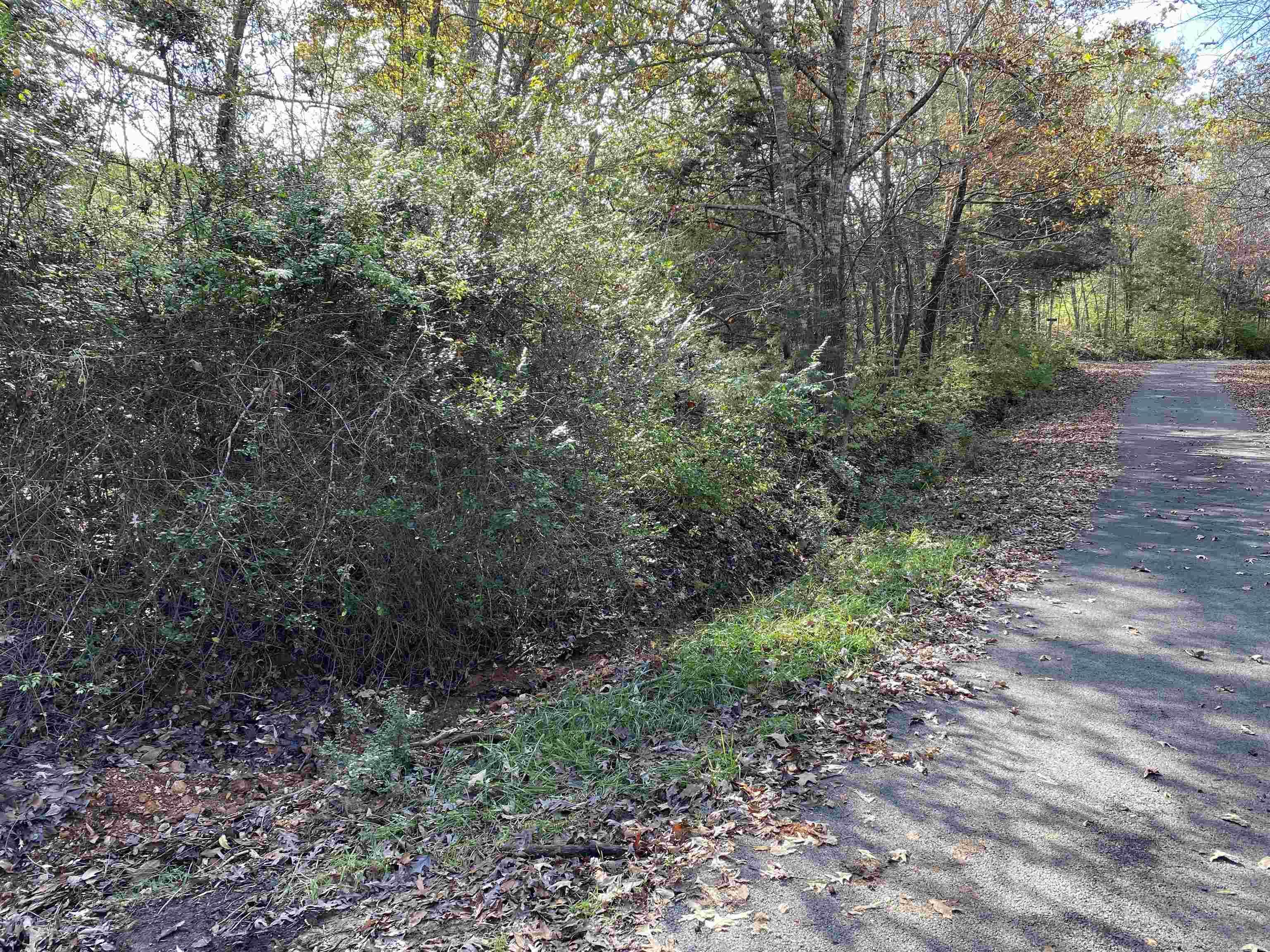 760-19585-000  Sandot  Bull Shoals, AR