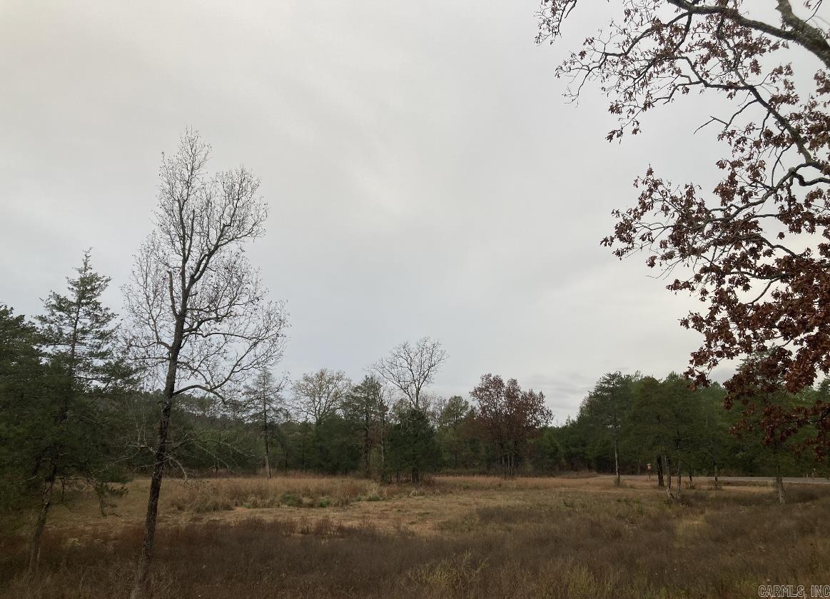 1919  Stracner  Cleveland, AR