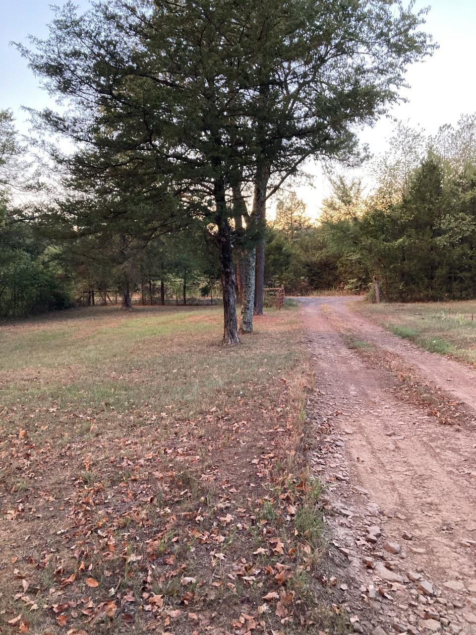 1919  Stracner  Cleveland, AR