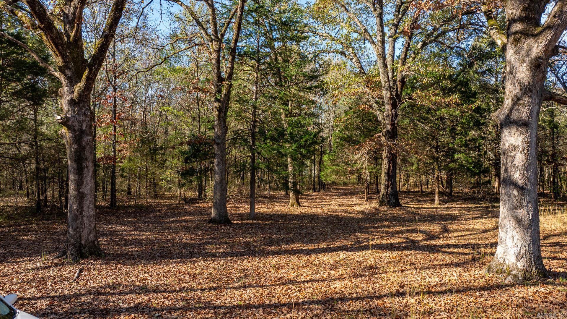 143  Sage Brush  Romance, AR