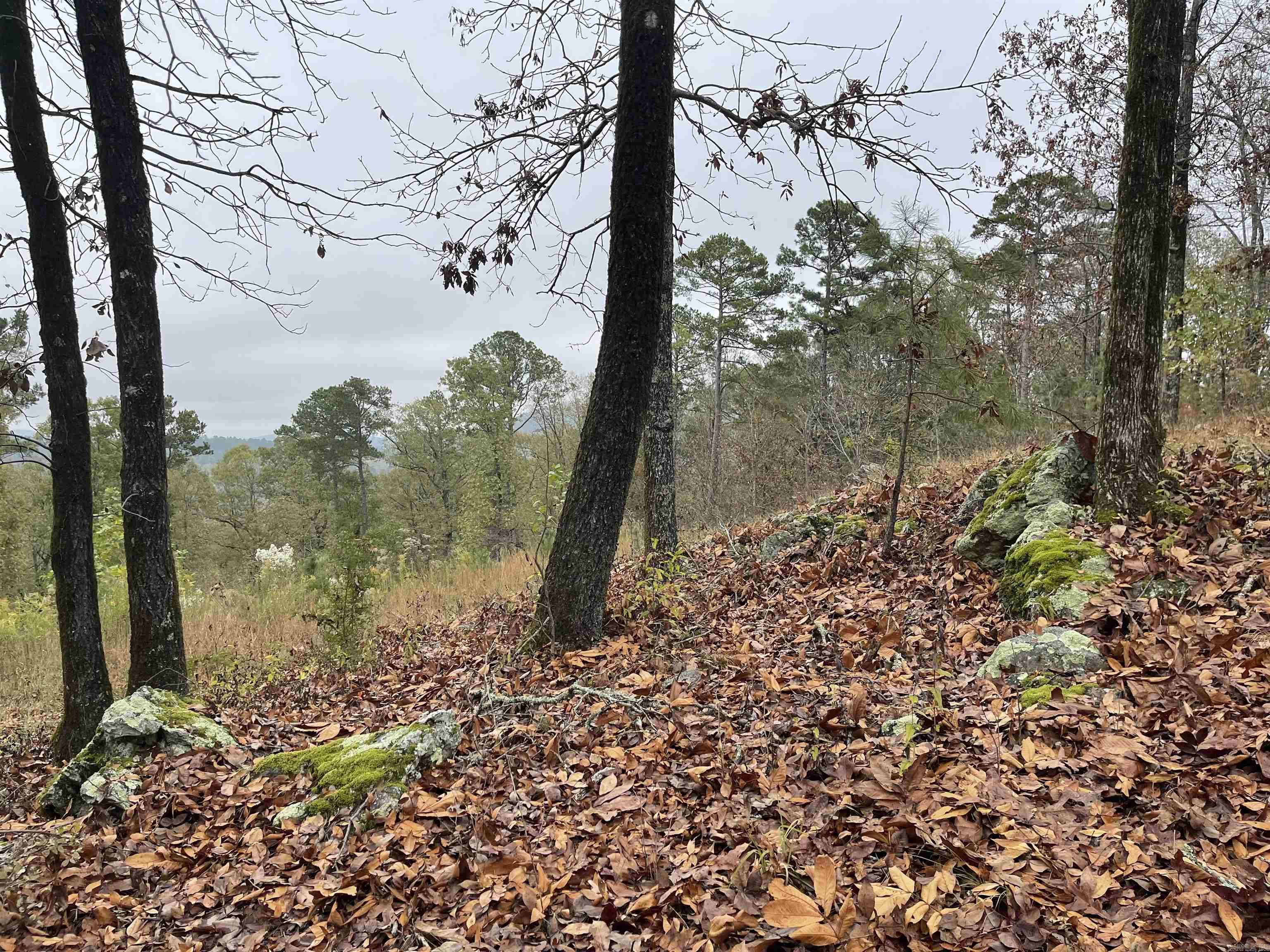 4001  Ridgefield  Little Rock, AR