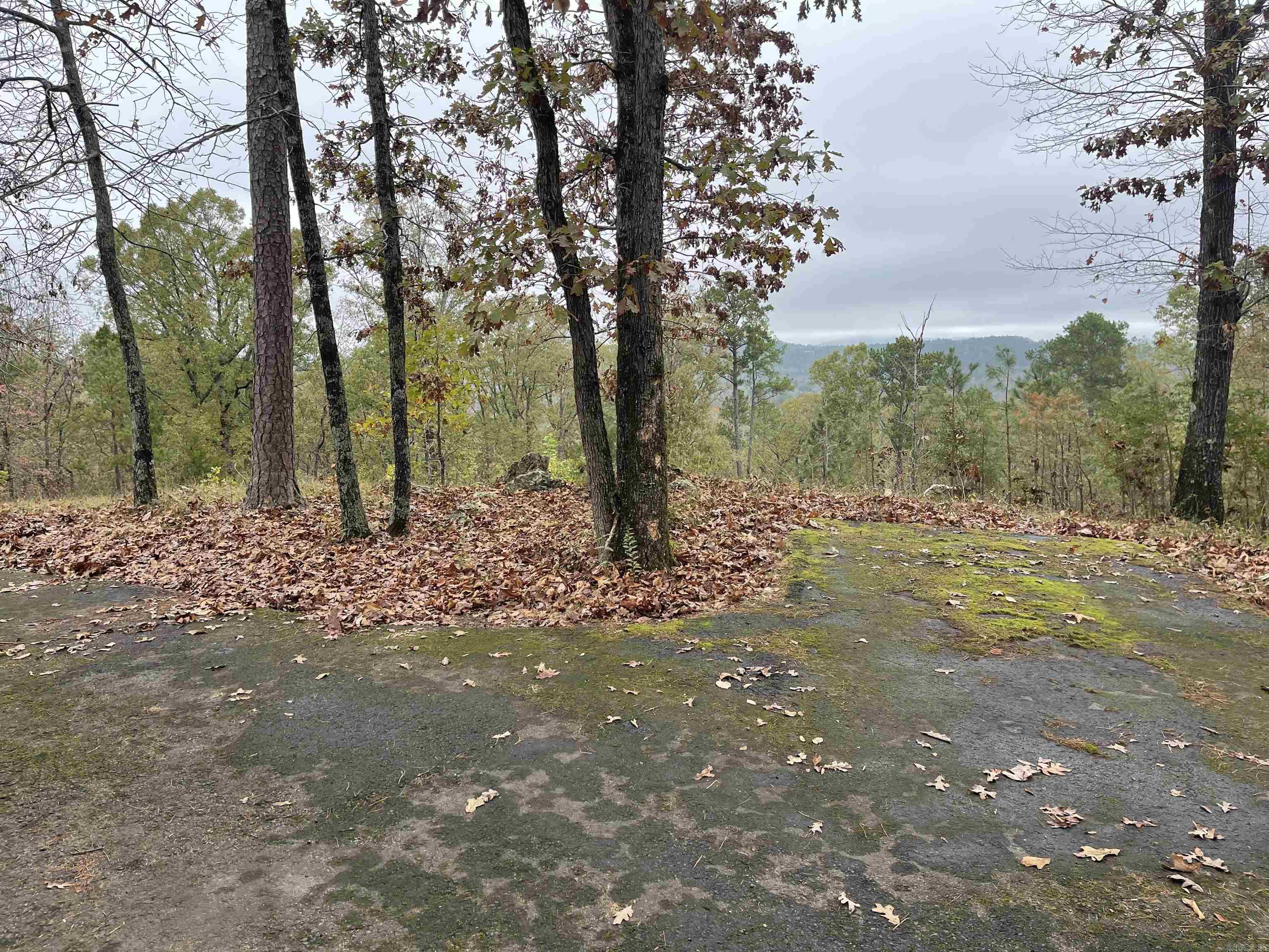 4001  Ridgefield  Little Rock, AR