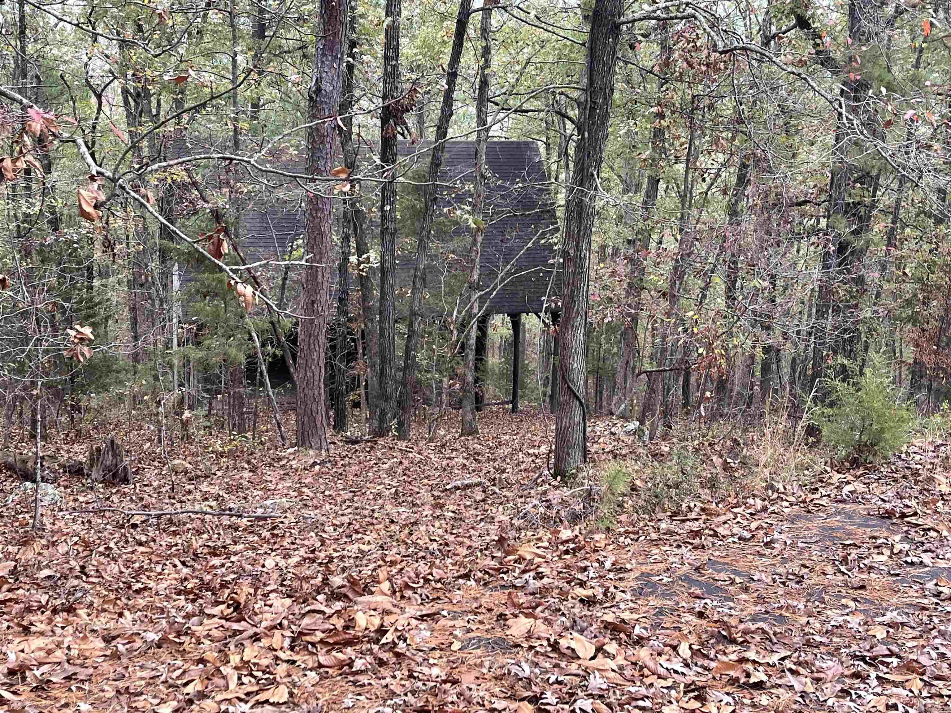 4001  Ridgefield  Little Rock, AR