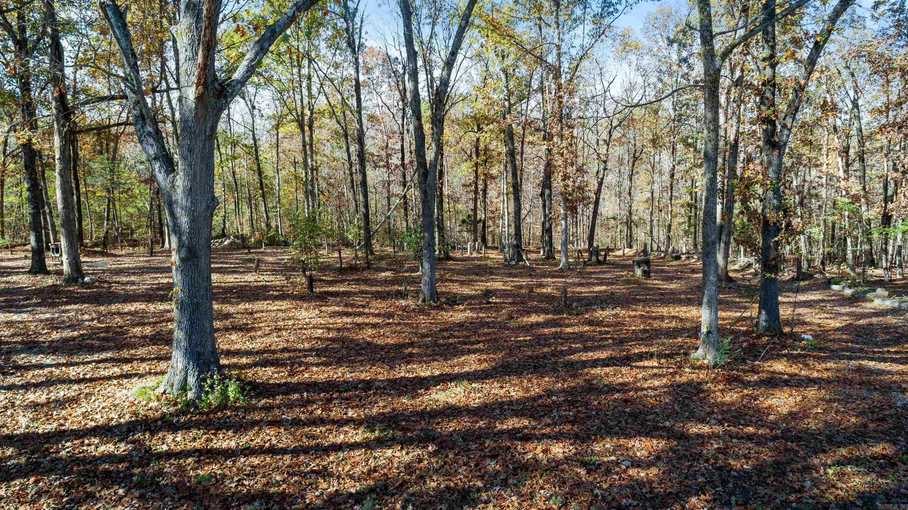 1780 Country Club Road Pocahontas, AR 72455
