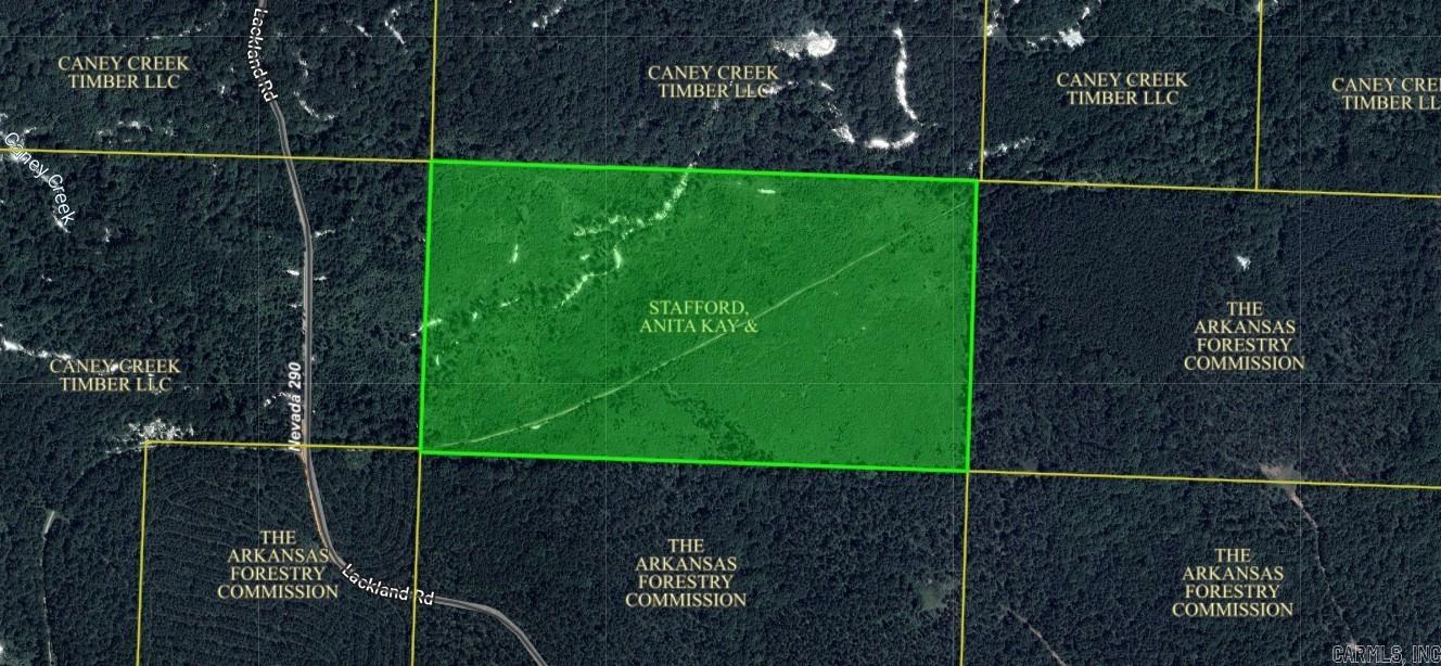 81.9 acres  Nevada County  Prescott, AR