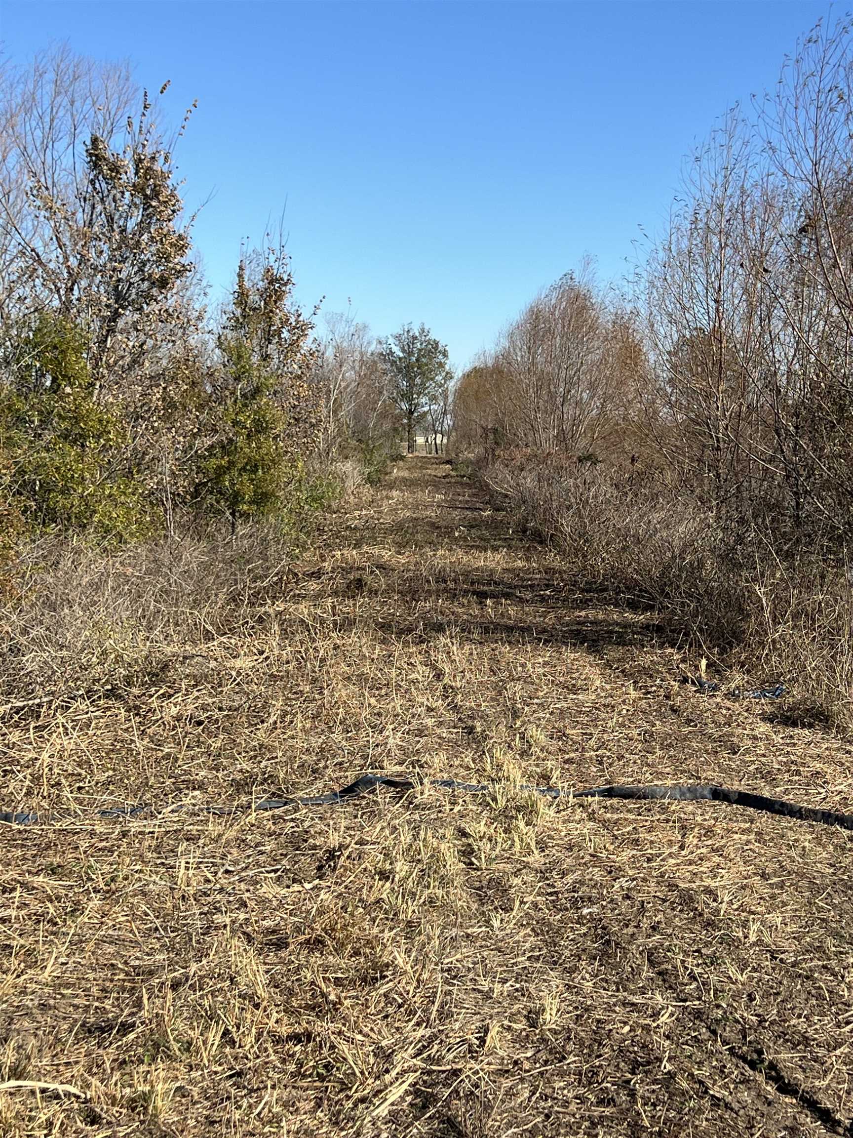 17  County Road 451  Parkin, AR
