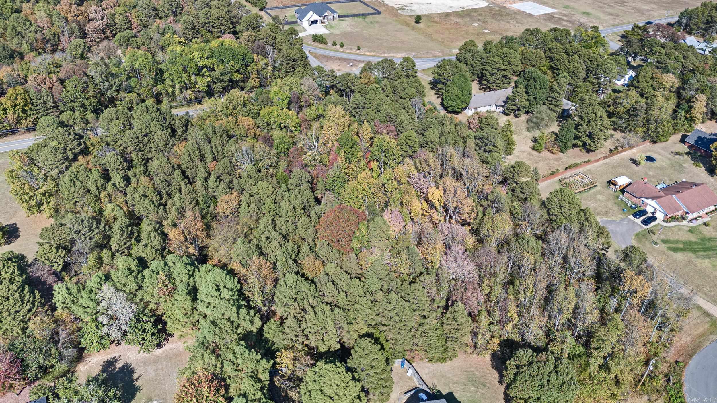 80, 81, 234  Cliff and Stream  Russellville, AR