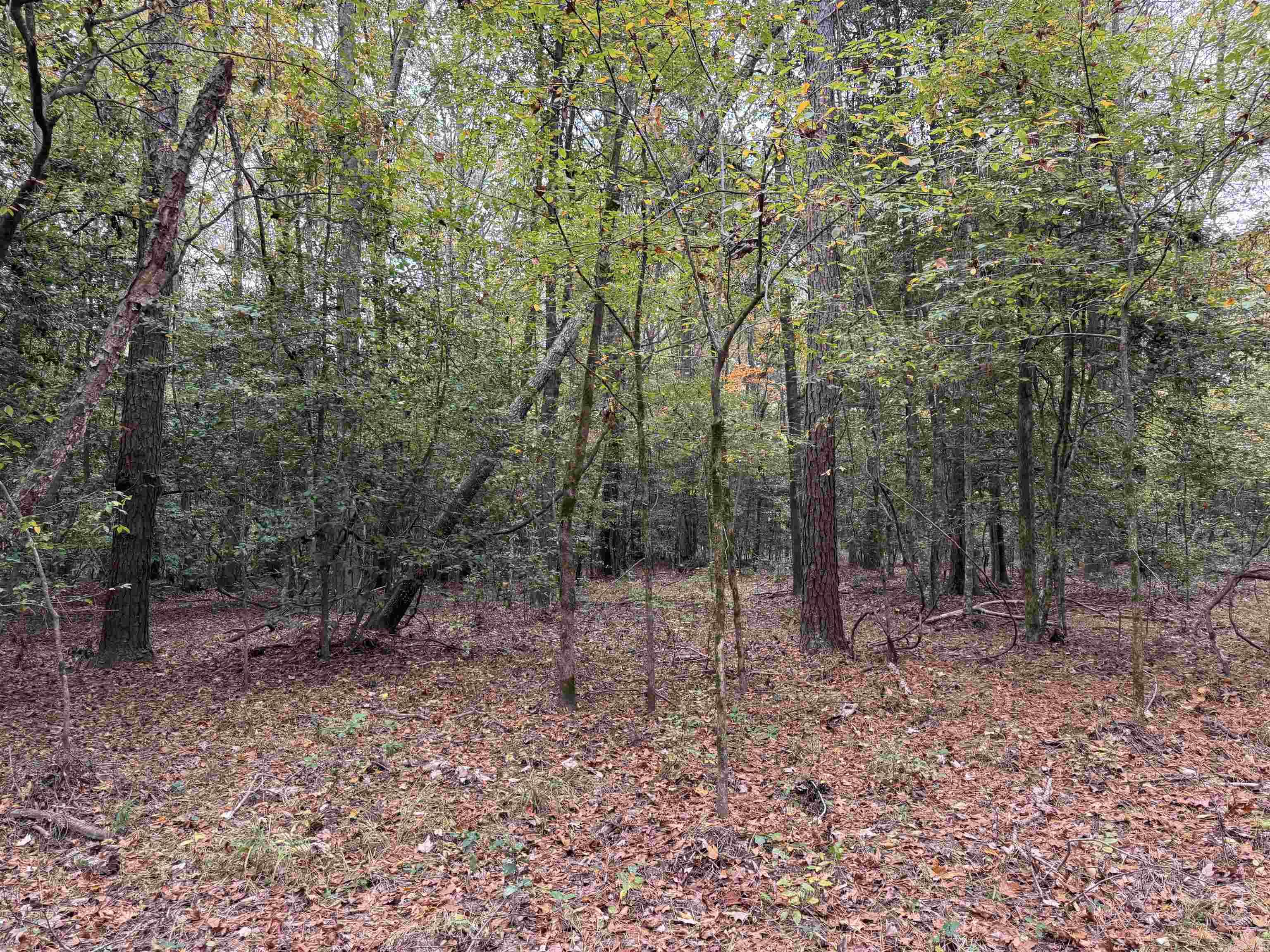 784  Grant 3515  Sheridan, AR
