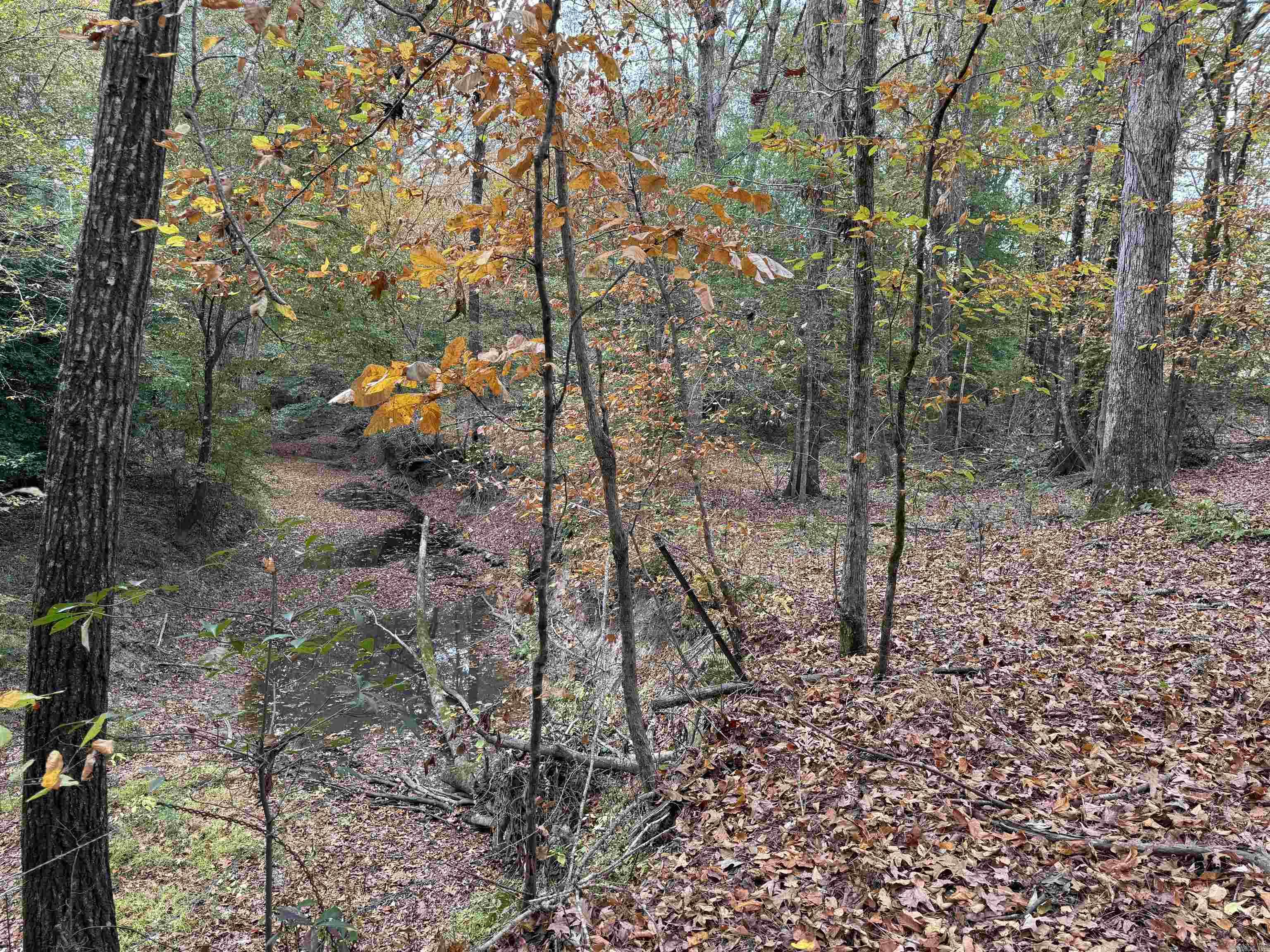 784  Grant 3515  Sheridan, AR