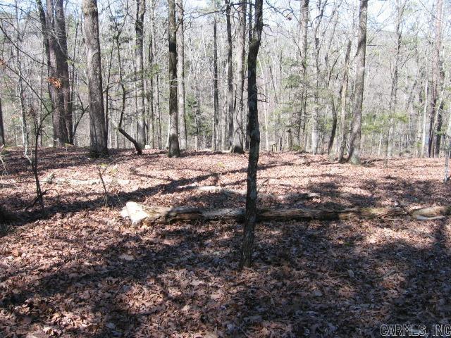 309 & 311  Grand Isle Dr.  Fairfield Bay, AR