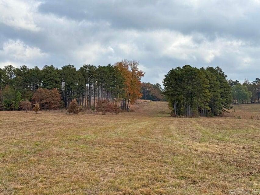 000  Hwy 167  Evening Shade, AR