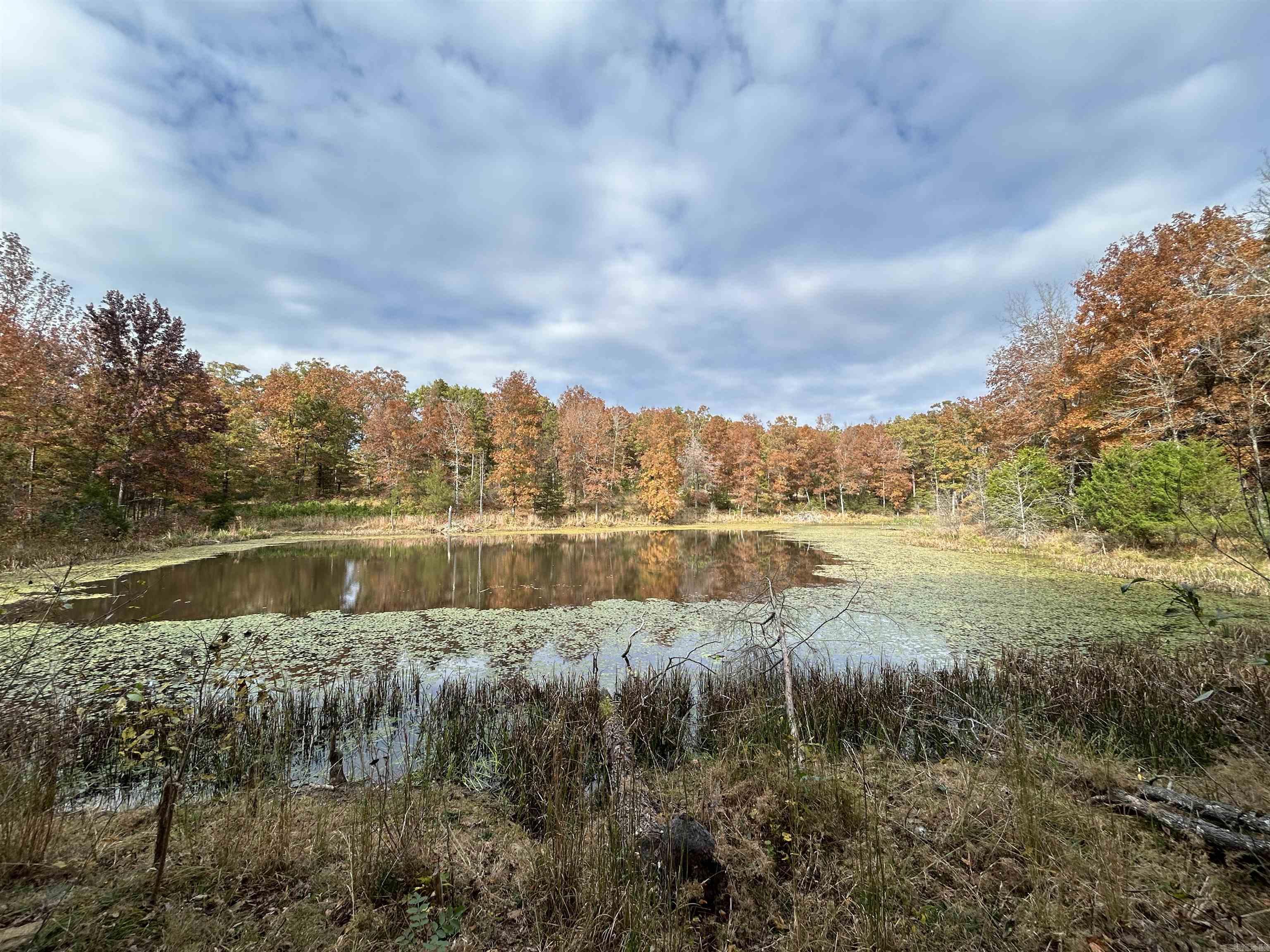 989 N Bayou Road Concord, AR 72523