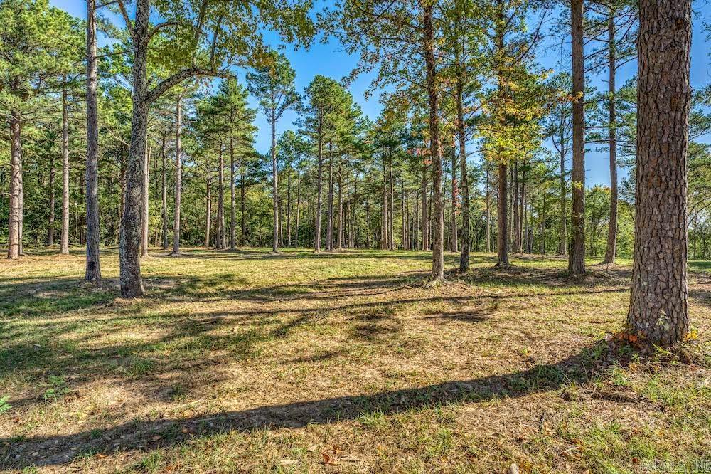   Sanctuary Estates HWY 7  Jasper, AR