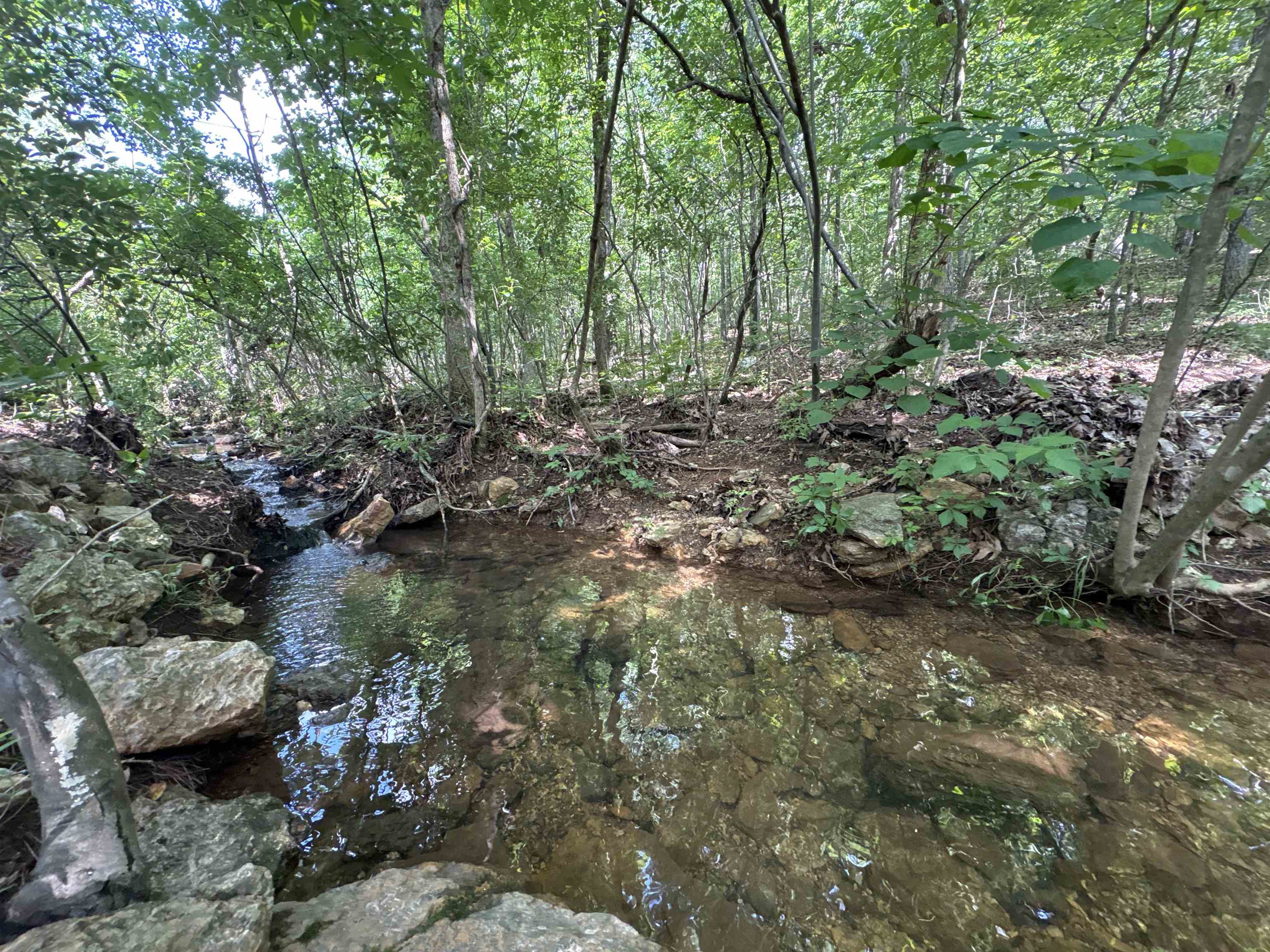 47  Timberlane  Highland, AR