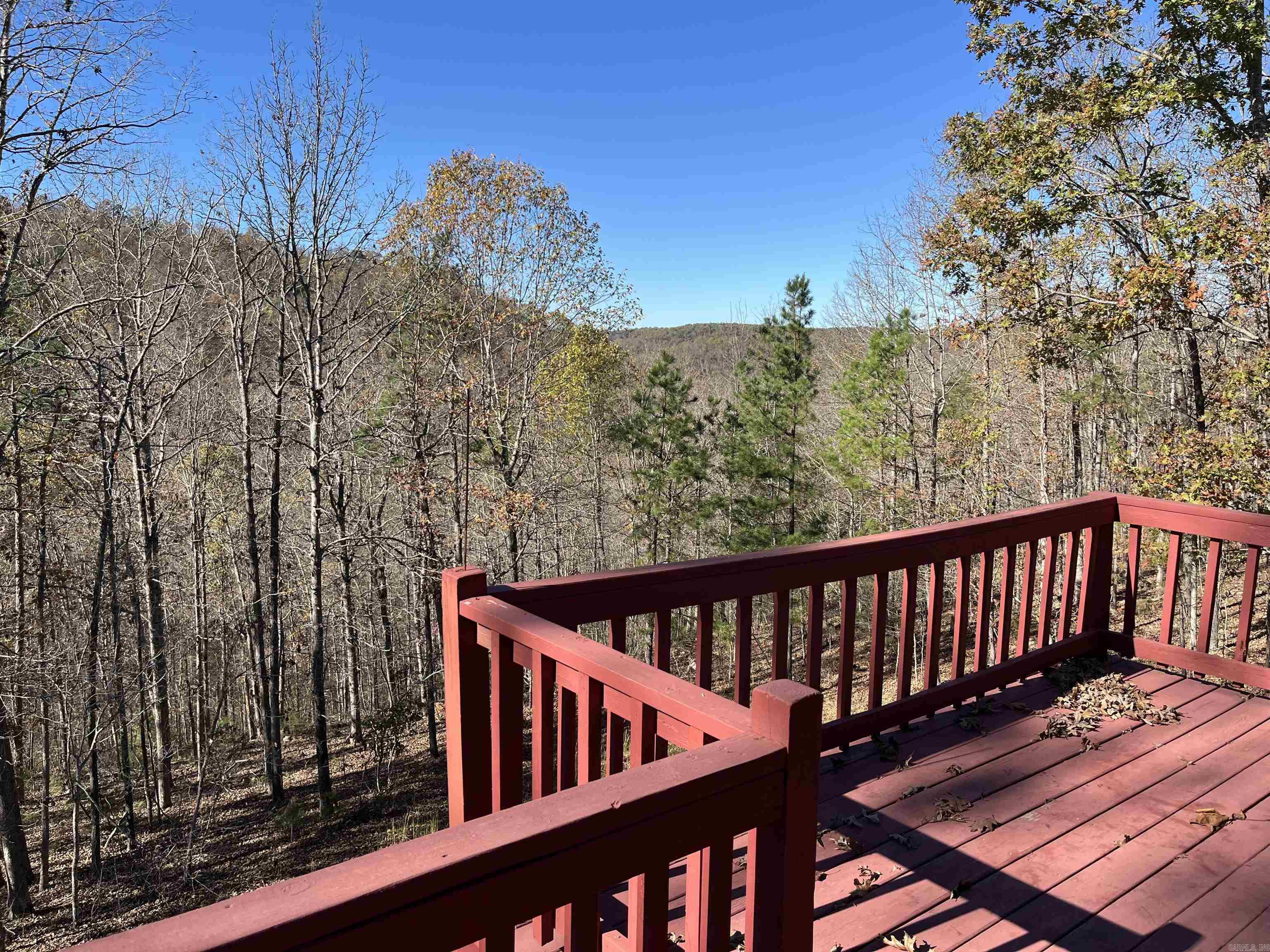 1217 Lovell Ln Mountain View, AR 72560